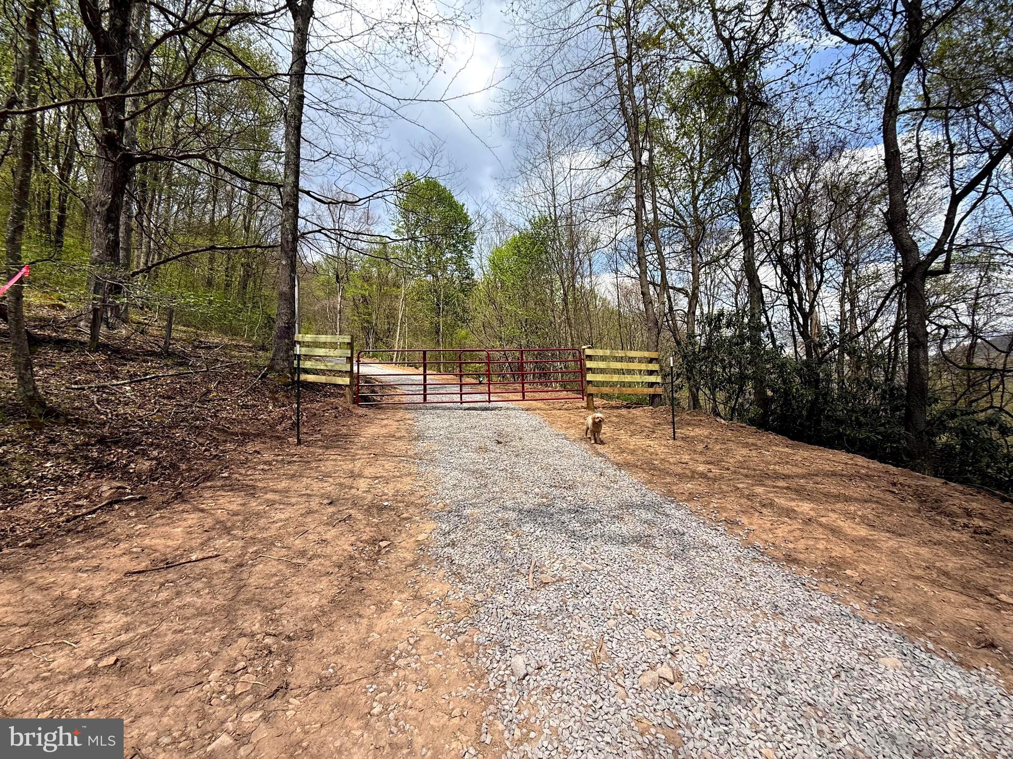 Tract 2-30.82 Acs Tract 2-30.82 Acs Straders Run Road Seneca Rocks, WV 26884 - Photo 42 of 43 Double Gate Shared Driveway Entrance