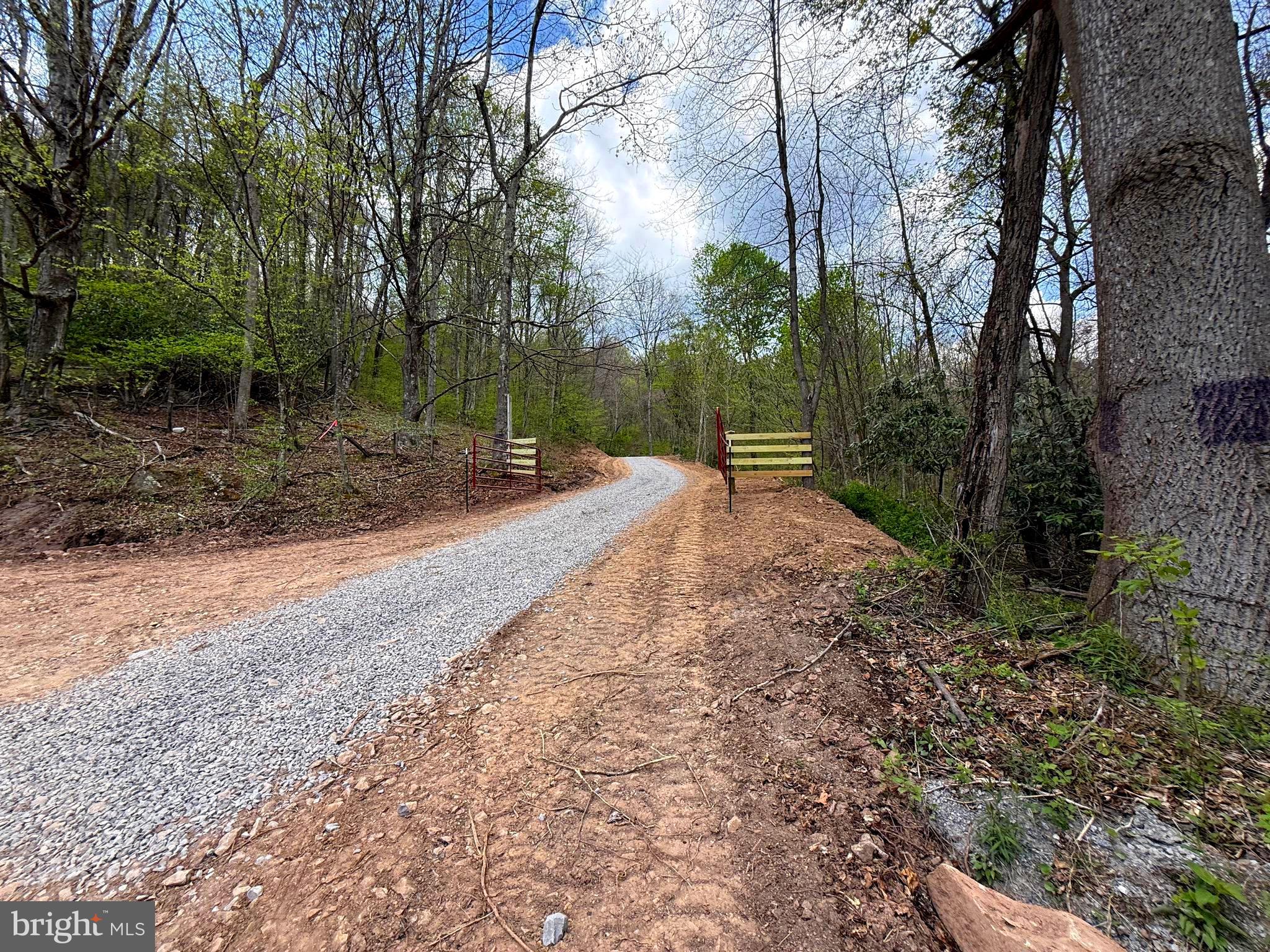 Tract 2-30.82 Acs Tract 2-30.82 Acs Straders Run Road Seneca Rocks, WV 26884 - Photo 43 of 43 Shared Road to Property
