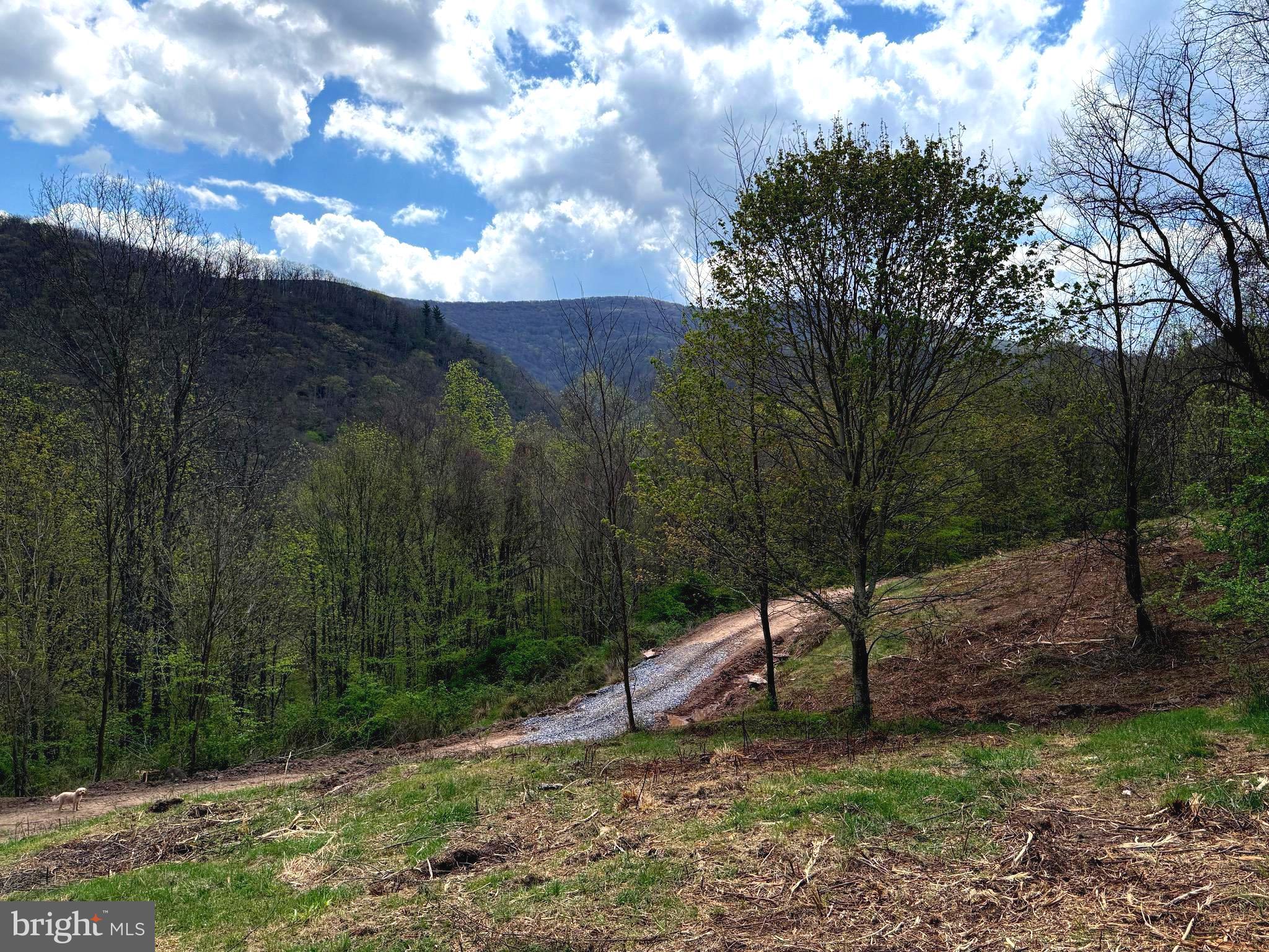 Tract 2-30.82 Acs Tract 2-30.82 Acs Straders Run Road Seneca Rocks, WV 26884 - Photo 5 of 43
