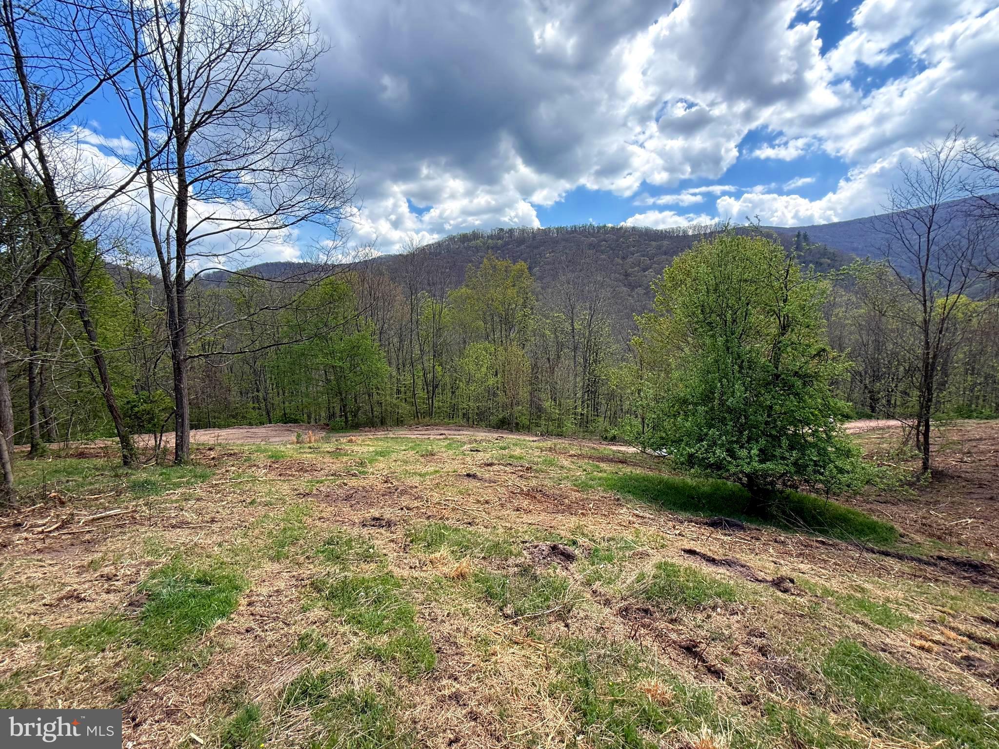 Tract 2-30.82 Acs Tract 2-30.82 Acs Straders Run Road Seneca Rocks, WV 26884 - Photo 6 of 43