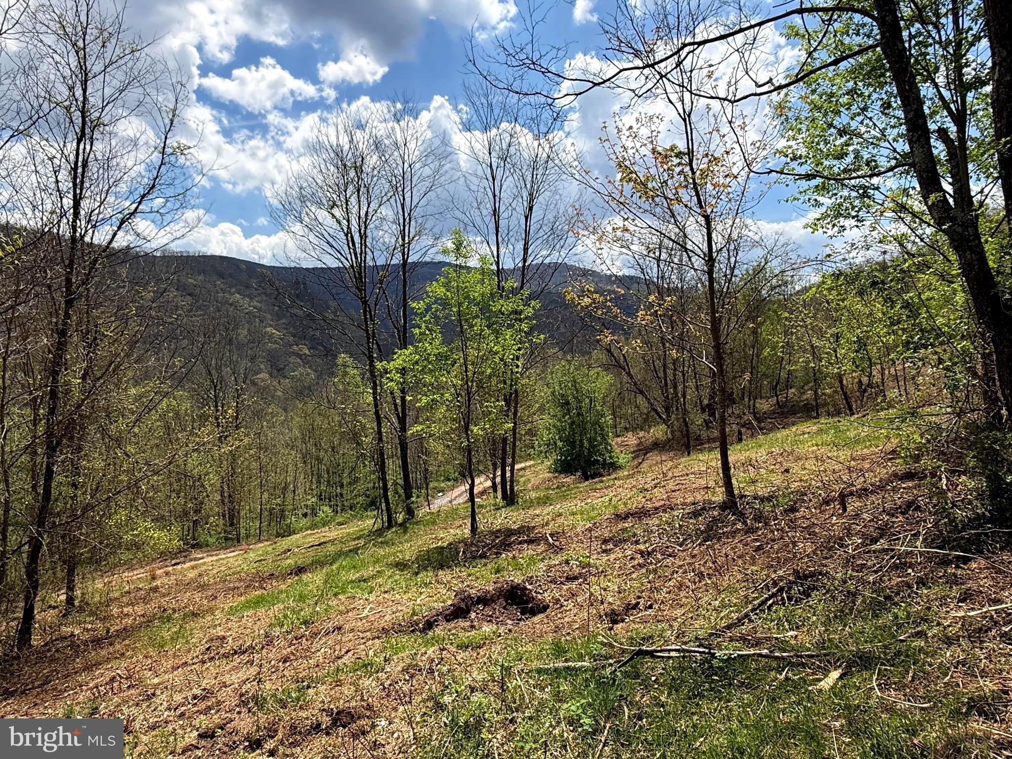 Tract 2-30.82 Acs Tract 2-30.82 Acs Straders Run Road Seneca Rocks, WV 26884 - Photo 7 of 43