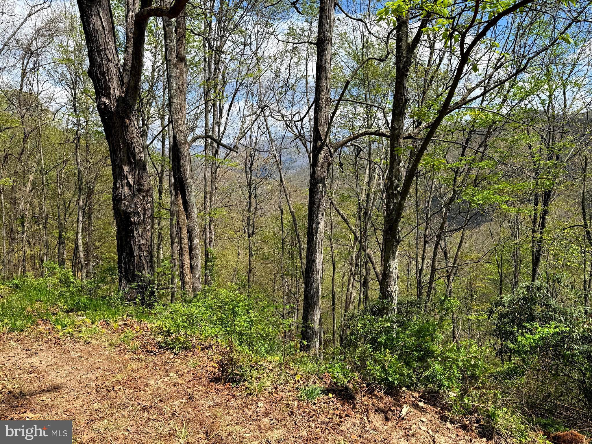 Tract 2-30.82 Acs Tract 2-30.82 Acs Straders Run Road Seneca Rocks, WV 26884 - Photo 8 of 43
