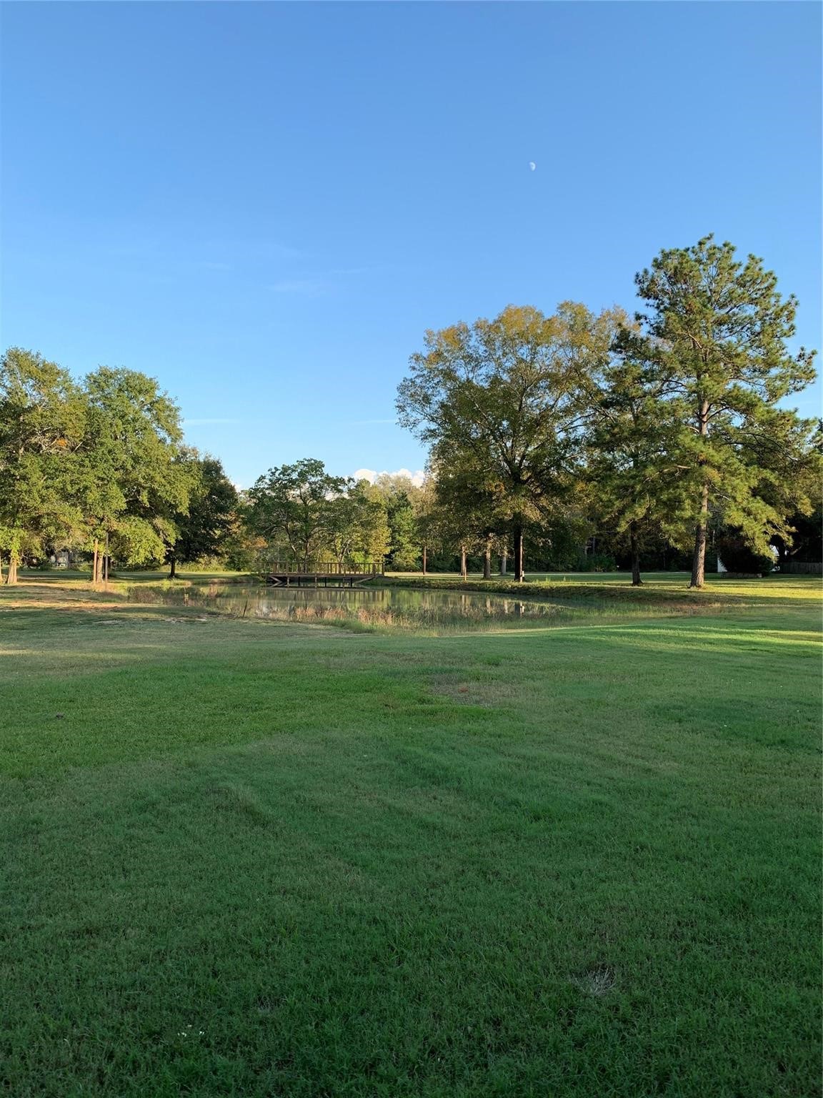 10873 Coaster Lane Conroe, TX 77306 - Photo 13 of 14