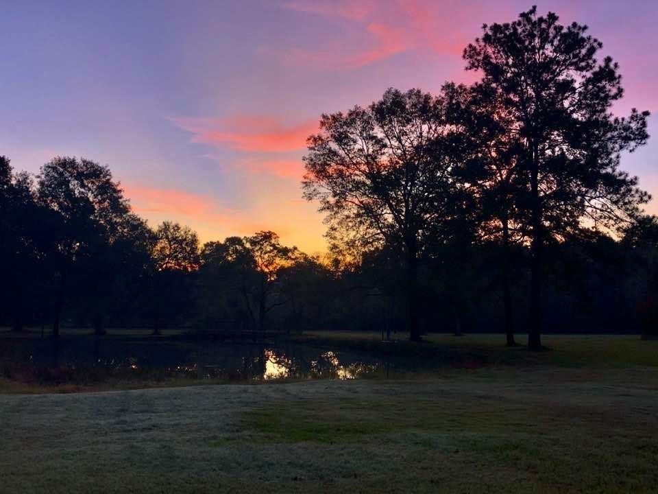 10873 Coaster Lane Conroe, TX 77306 - Photo 14 of 14