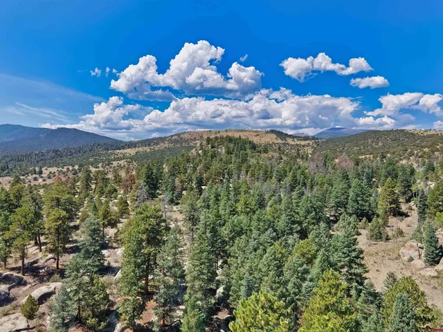 a view of a city with lush green forest