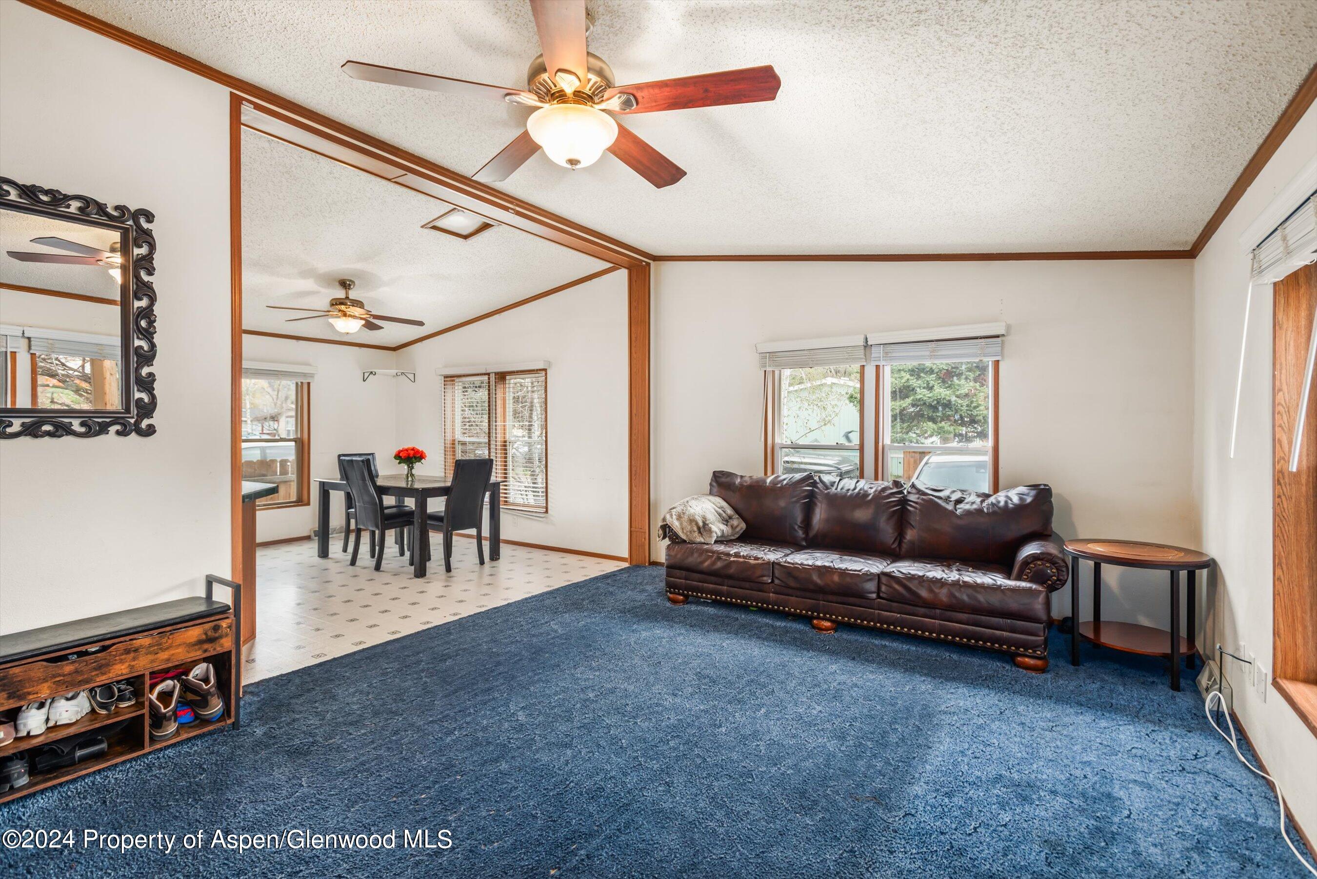71 Nathan El Jebel, CO 81623 - Photo 11 of 29 a living room with furniture and a window