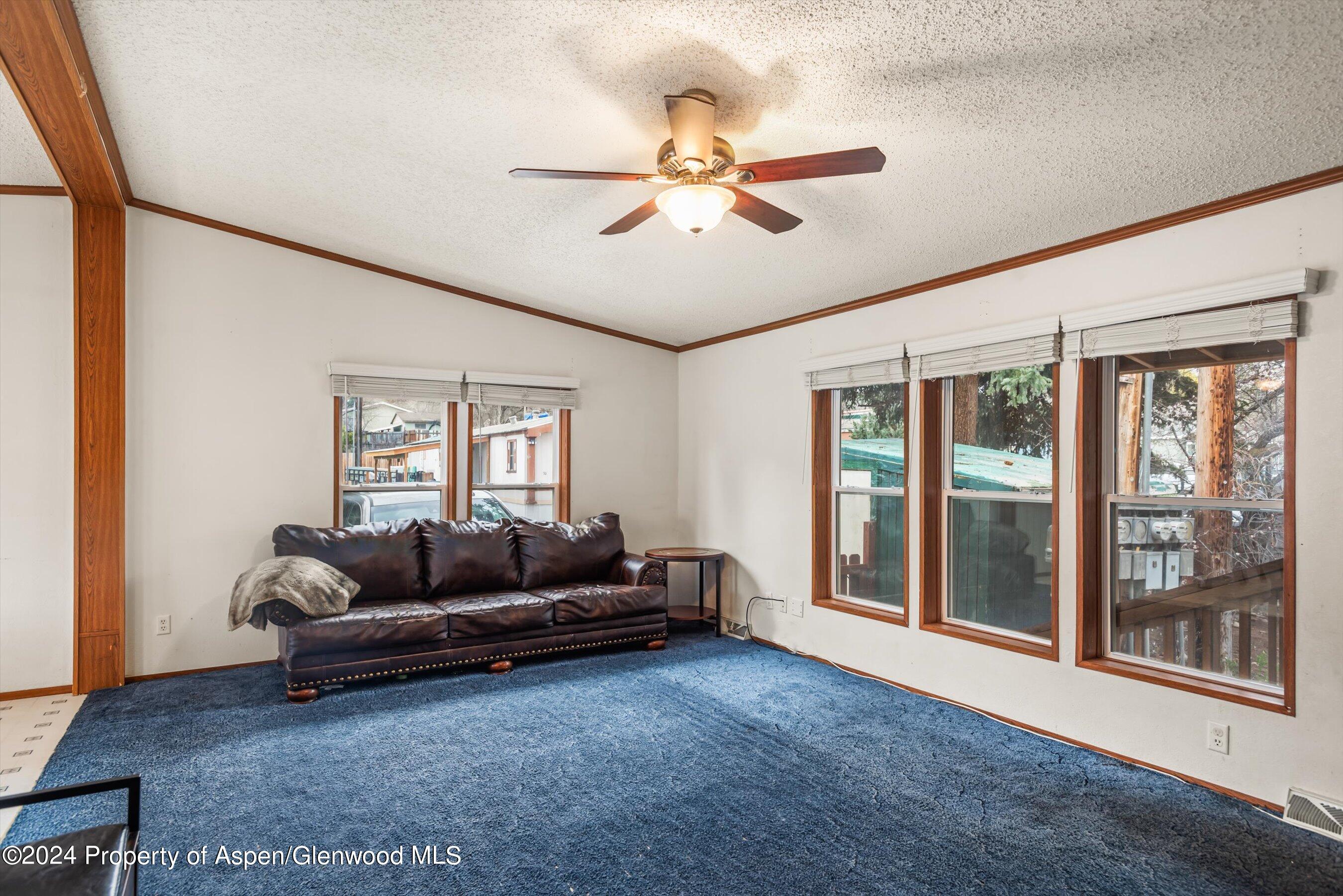 71 Nathan El Jebel, CO 81623 - Photo 13 of 29 a living room with furniture and a large window