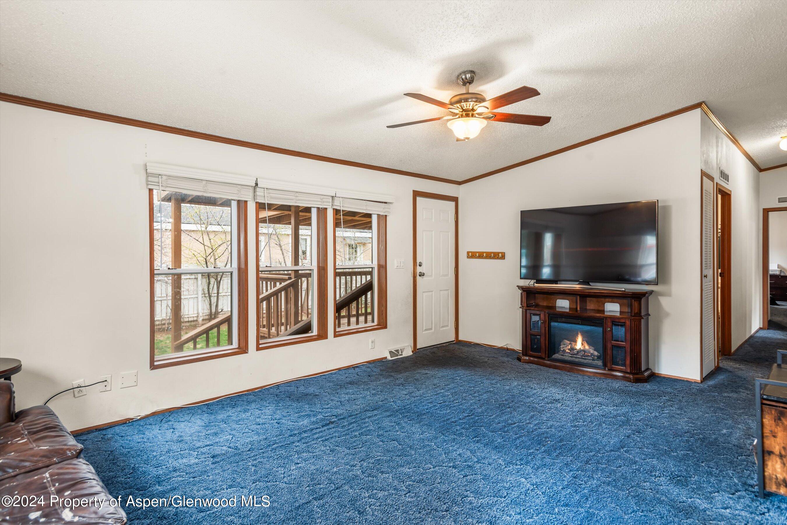 71 Nathan El Jebel, CO 81623 - Photo 14 of 29 a living room with furniture and a flat screen tv