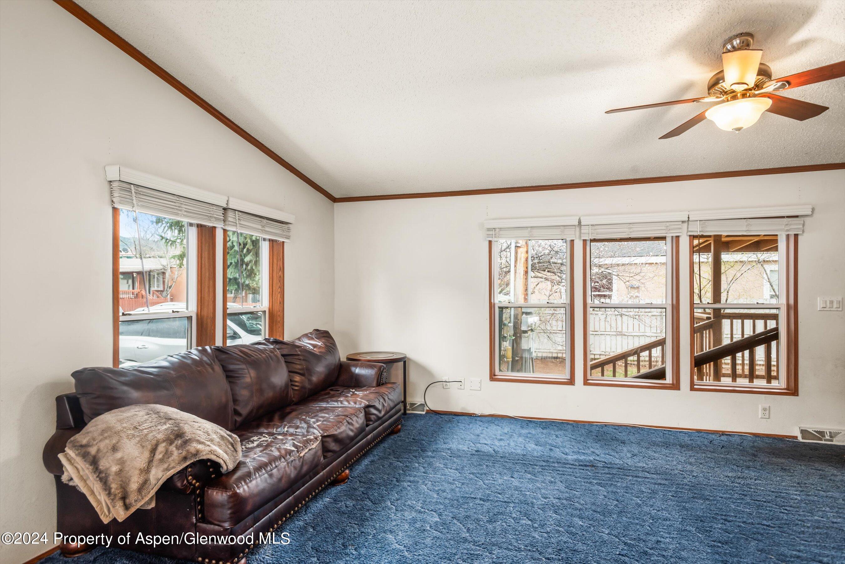 71 Nathan El Jebel, CO 81623 - Photo 15 of 29 a living room with furniture and a large window