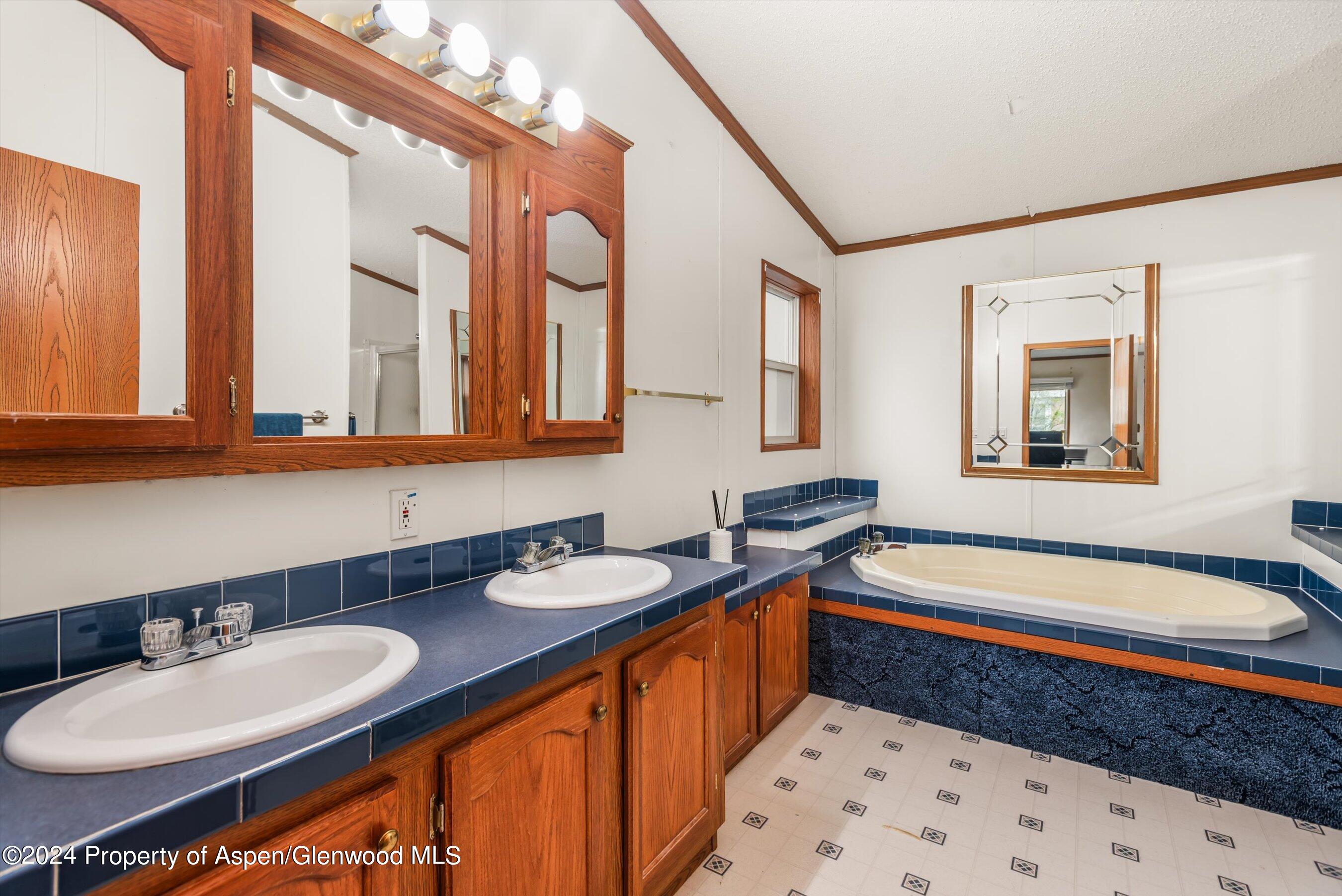 71 Nathan El Jebel, CO 81623 - Photo 19 of 29 a bathroom with a double vanity sink and a bathtub