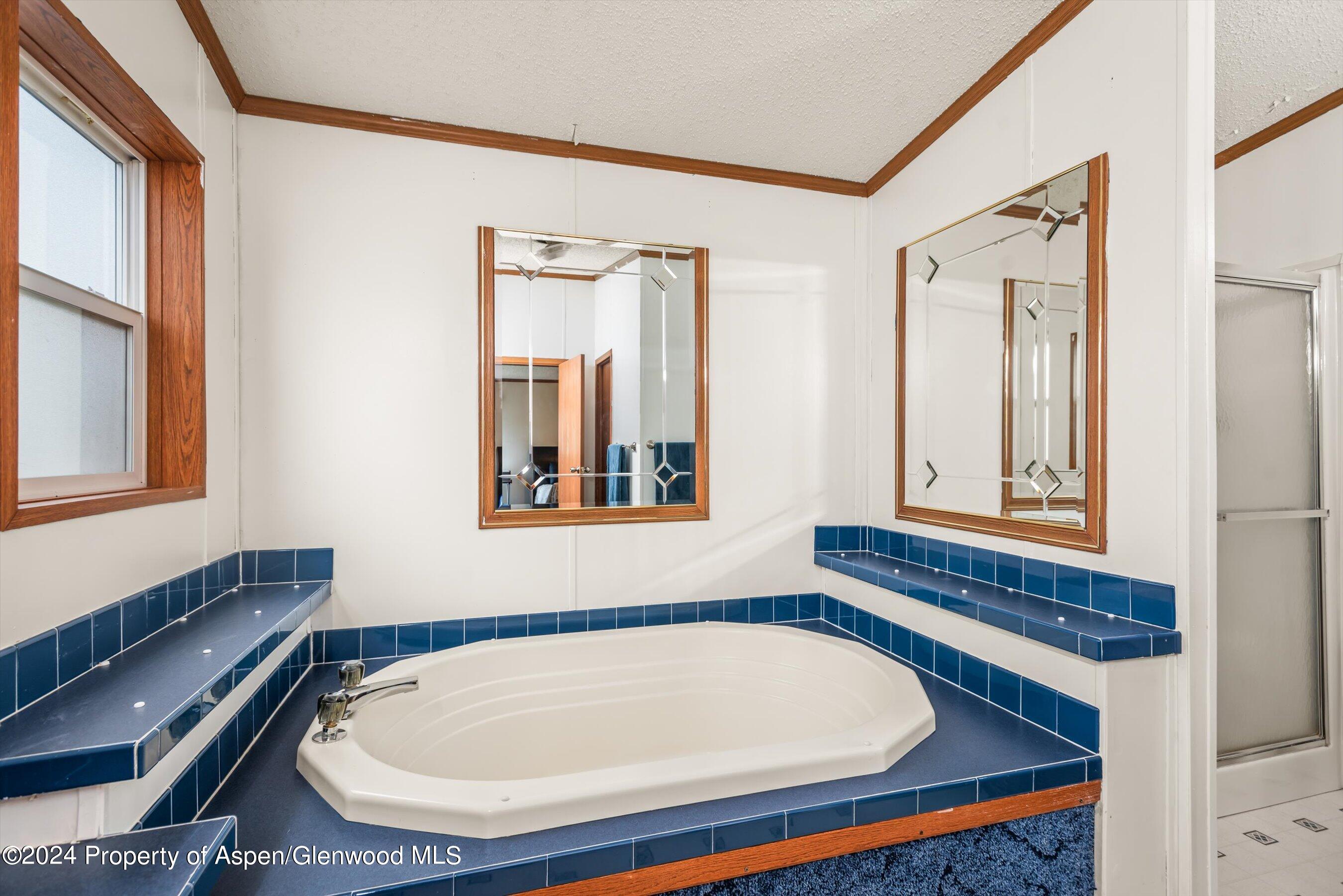 71 Nathan El Jebel, CO 81623 - Photo 20 of 29 a bathroom with a sink and a mirror