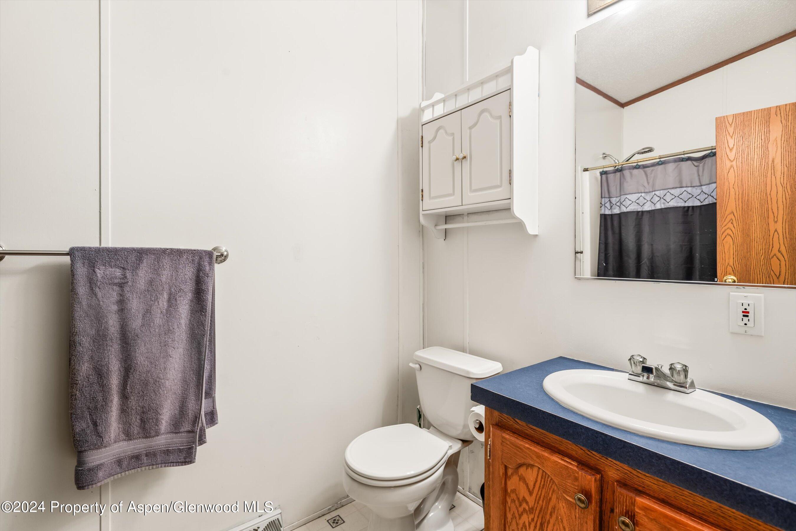 71 Nathan El Jebel, CO 81623 - Photo 24 of 29 a bathroom with a sink a toilet and mirror