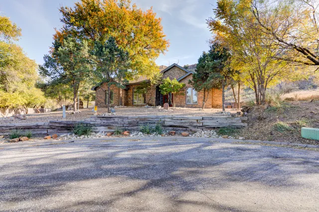 a view of a yard with plants and trees