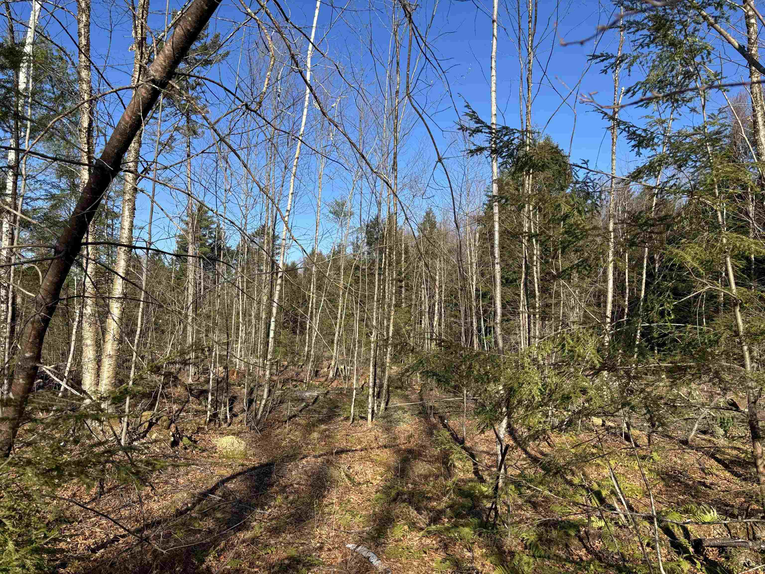 Lot 11-5 Ball Park Road Goshen, NH 03752 - Photo 11 of 13