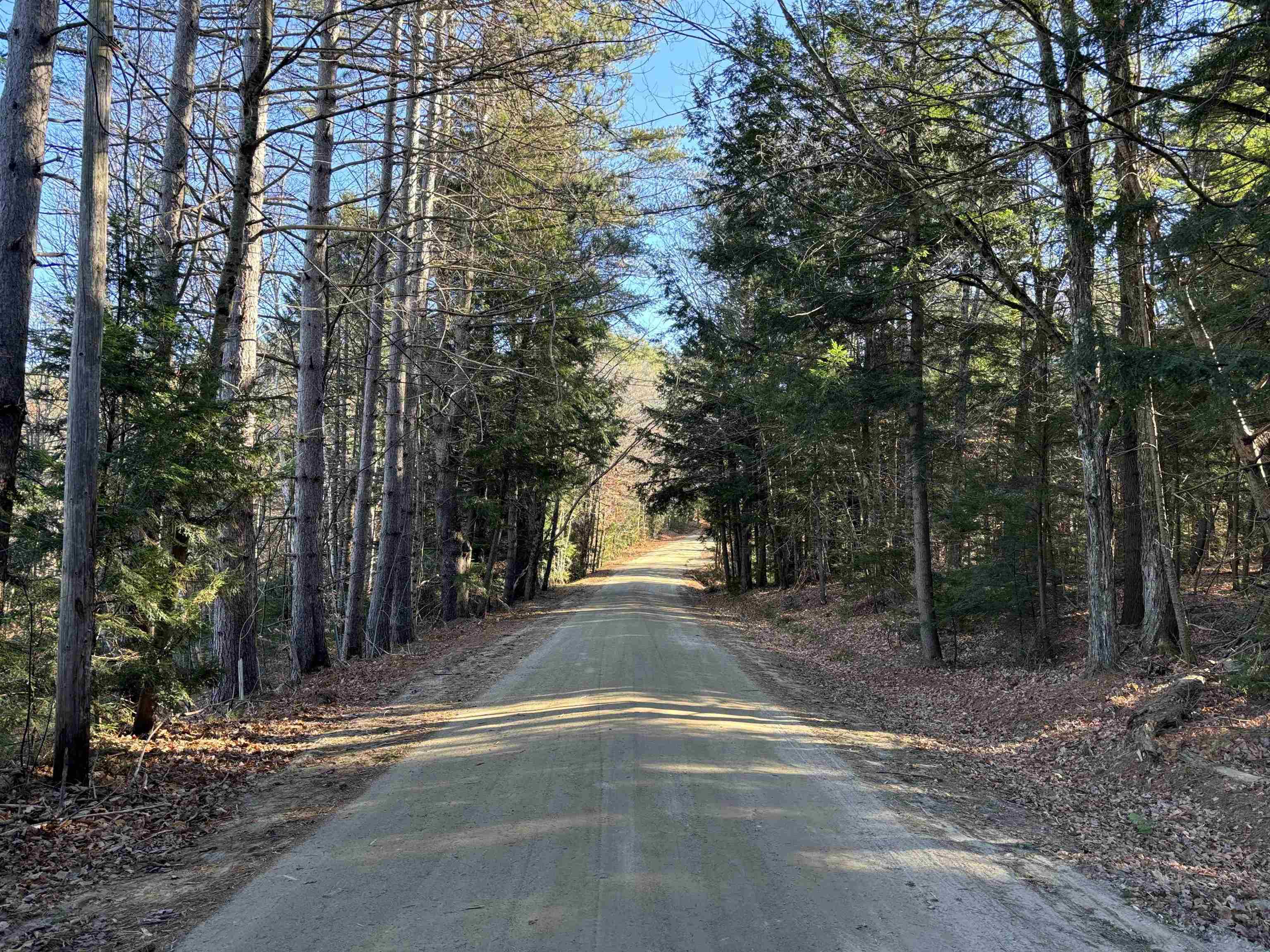 Lot 11-5 Ball Park Road Goshen, NH 03752 - Photo 13 of 13