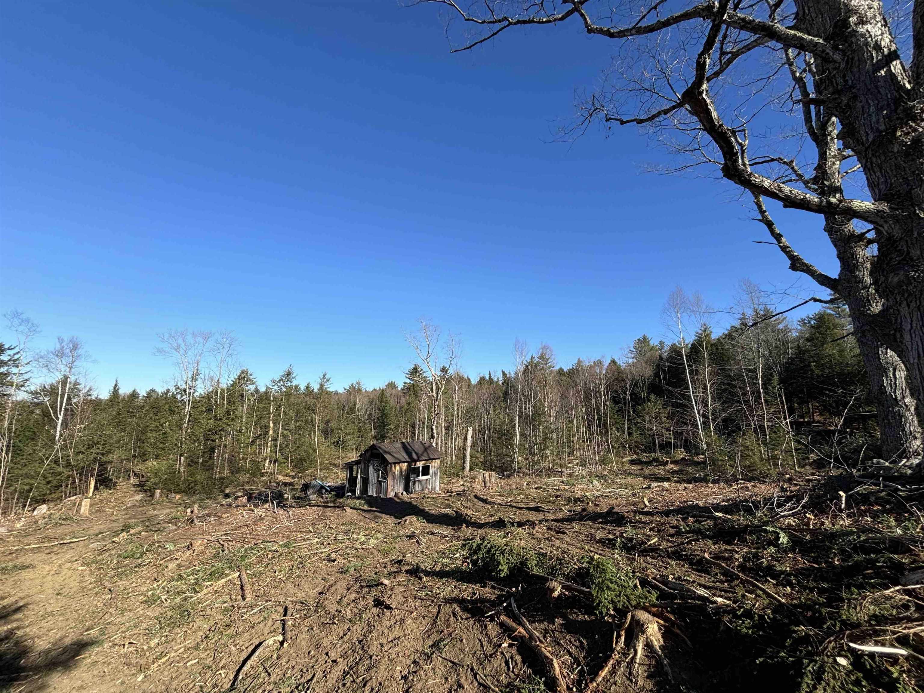 Lot 11-5 Ball Park Road Goshen, NH 03752 - Photo 6 of 13