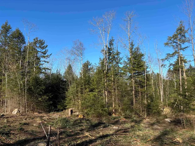 $134,900 | Lot 11-5 Ball Park Road, Goshen, NH 03752