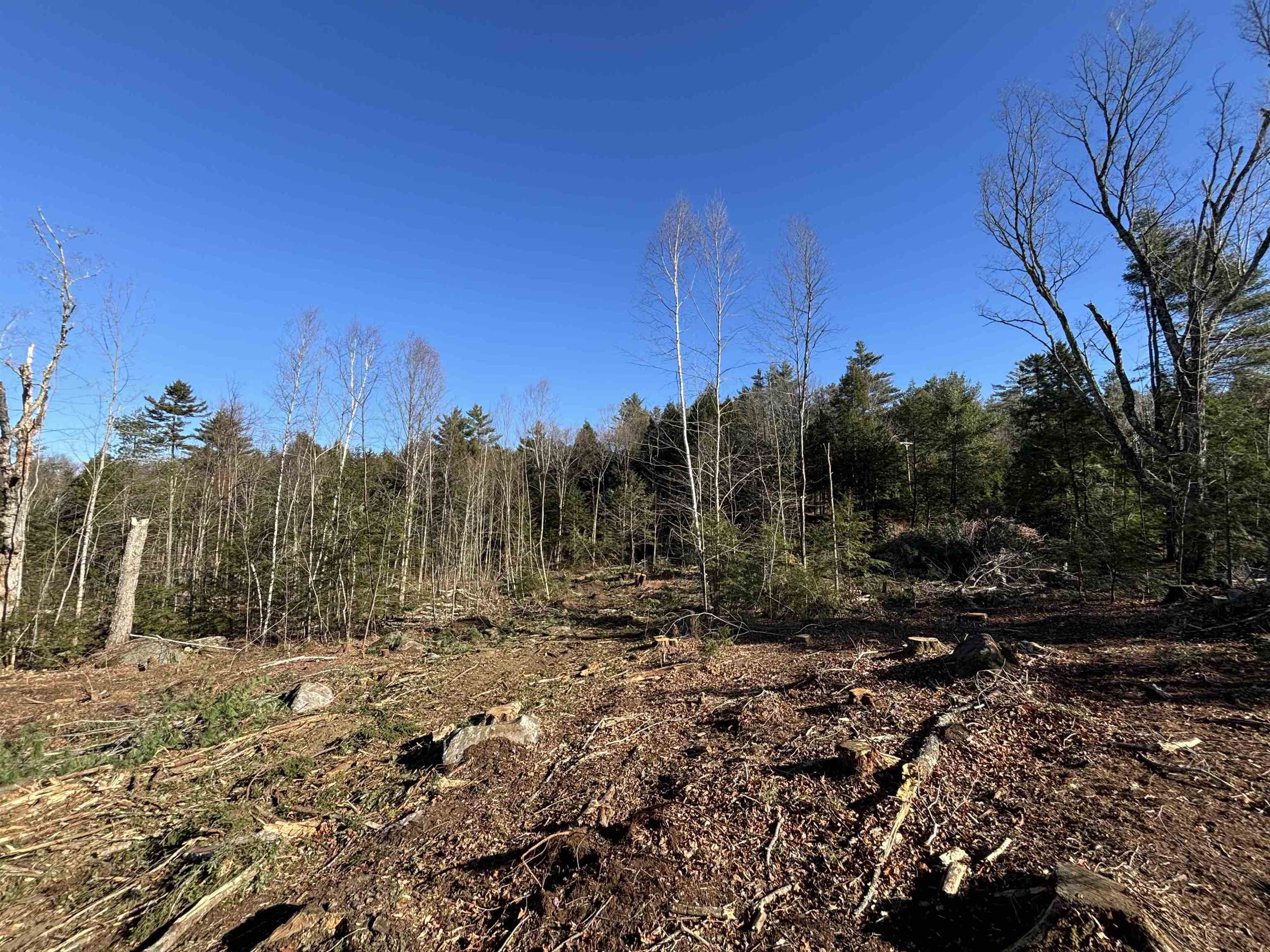 Lot 11-5 Ball Park Road Goshen, NH 03752 - Photo 10 of 13