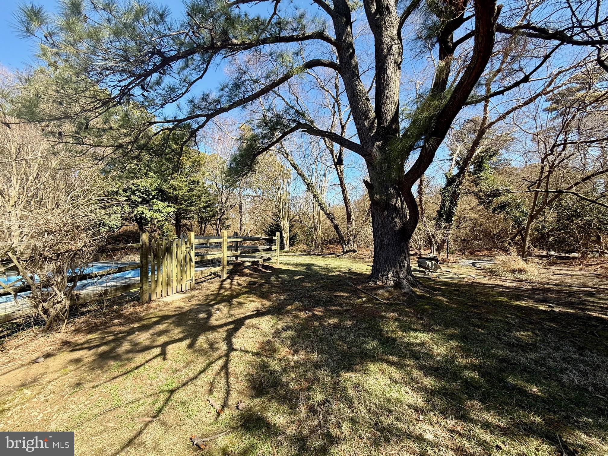 16530 Piney Point Road Piney Point, MD 20674 - Photo 55 of 67