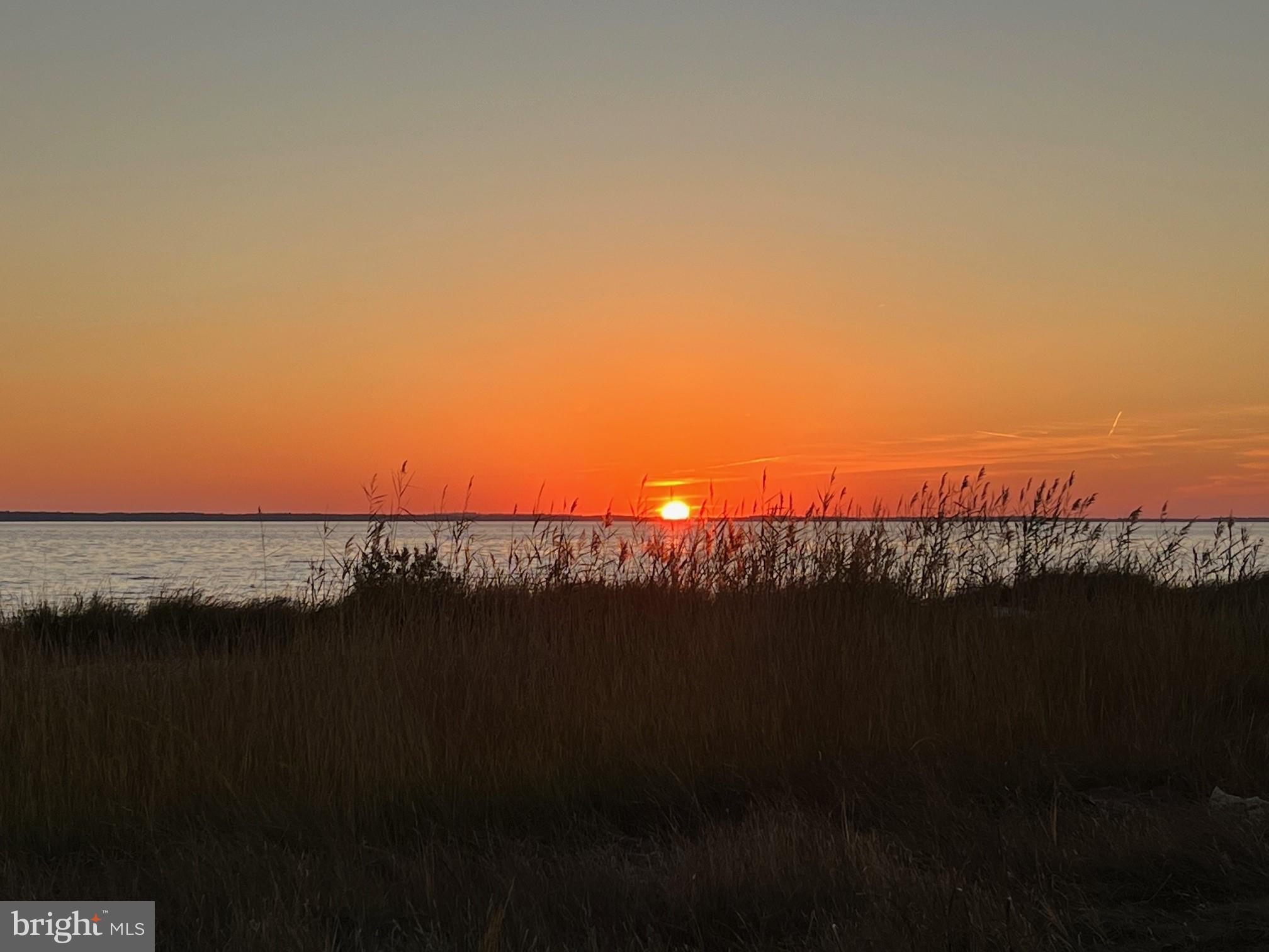 16530 Piney Point Road Piney Point, MD 20674 - Photo 56 of 67