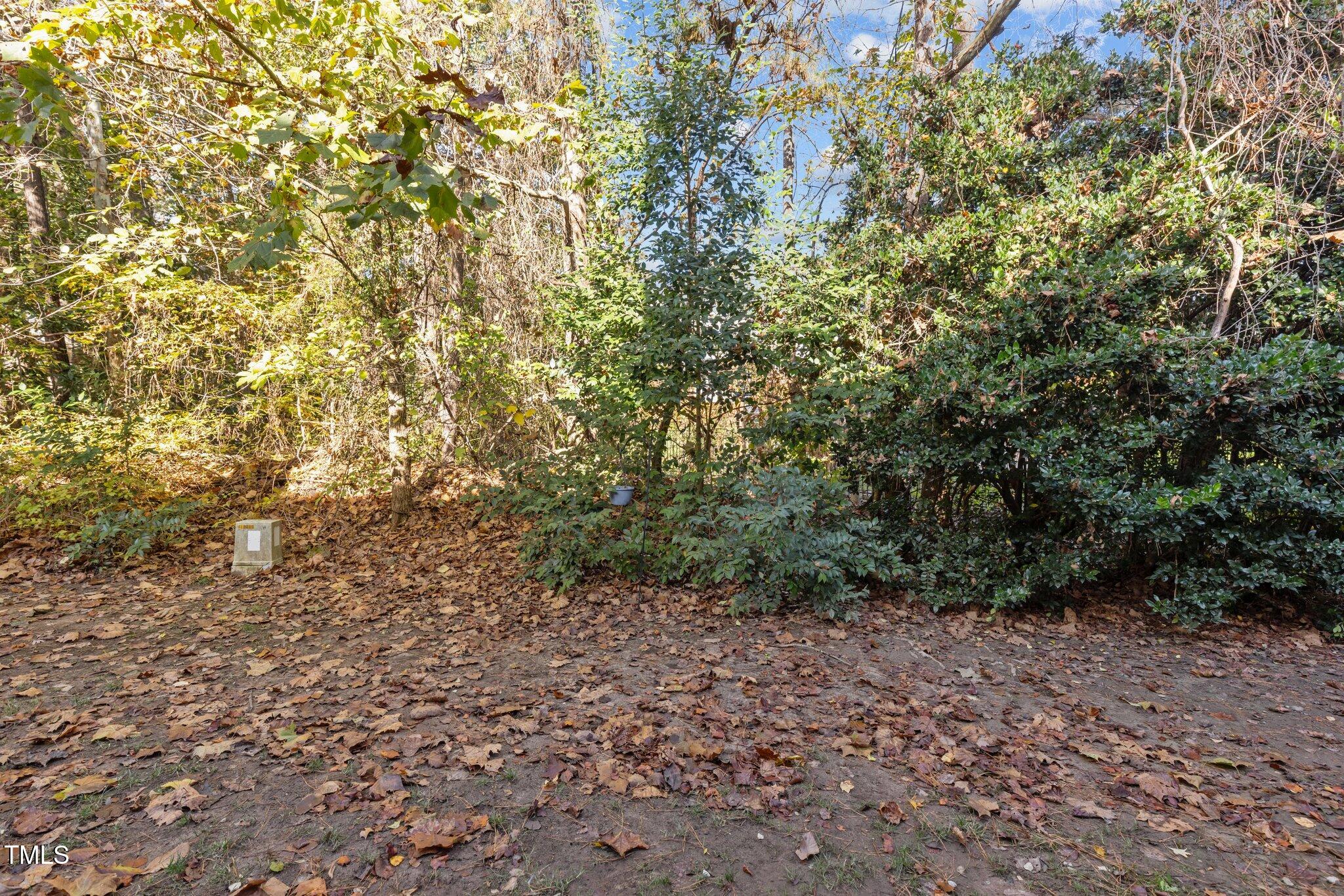 4448 Still Pines Drive Raleigh, NC 27613 - Photo 31 of 35 29-web-or-mls-8Y3A5995