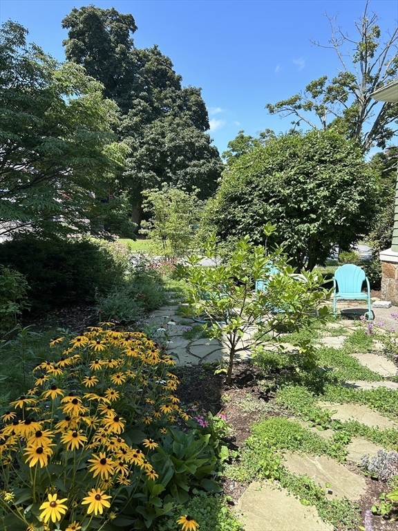 61 William Street Worcester, MA 01609 - Photo 36 of 42 a backyard of a house with a yard