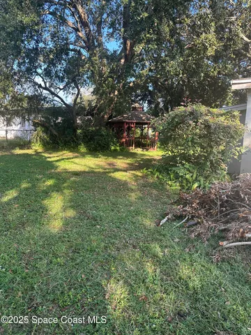 a view of a trees in a yard