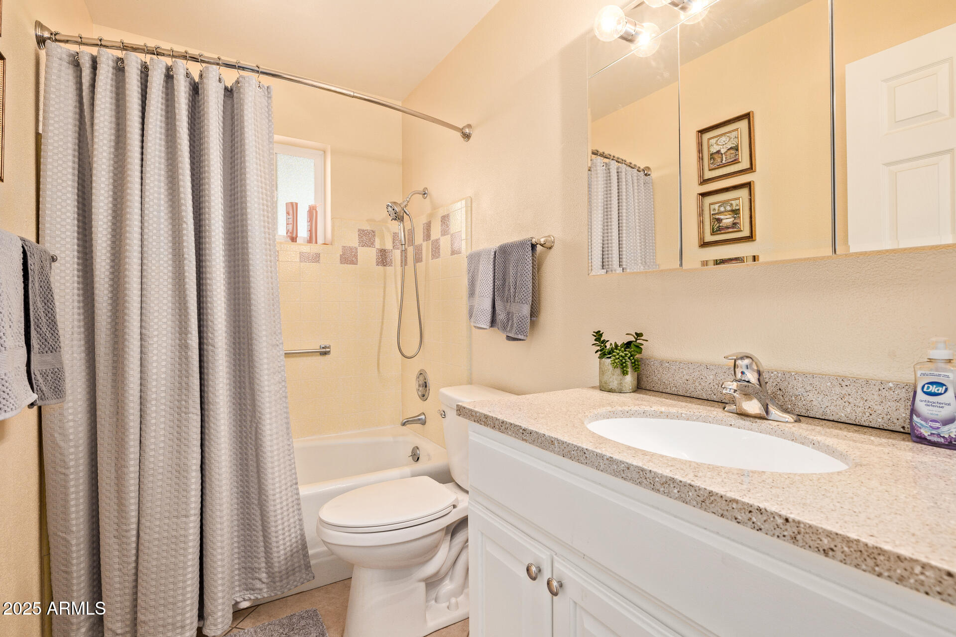 5501 East Adobe Road Mesa, AZ 85205 - Photo 17 of 38 a bathroom with a granite countertop sink toilet and shower