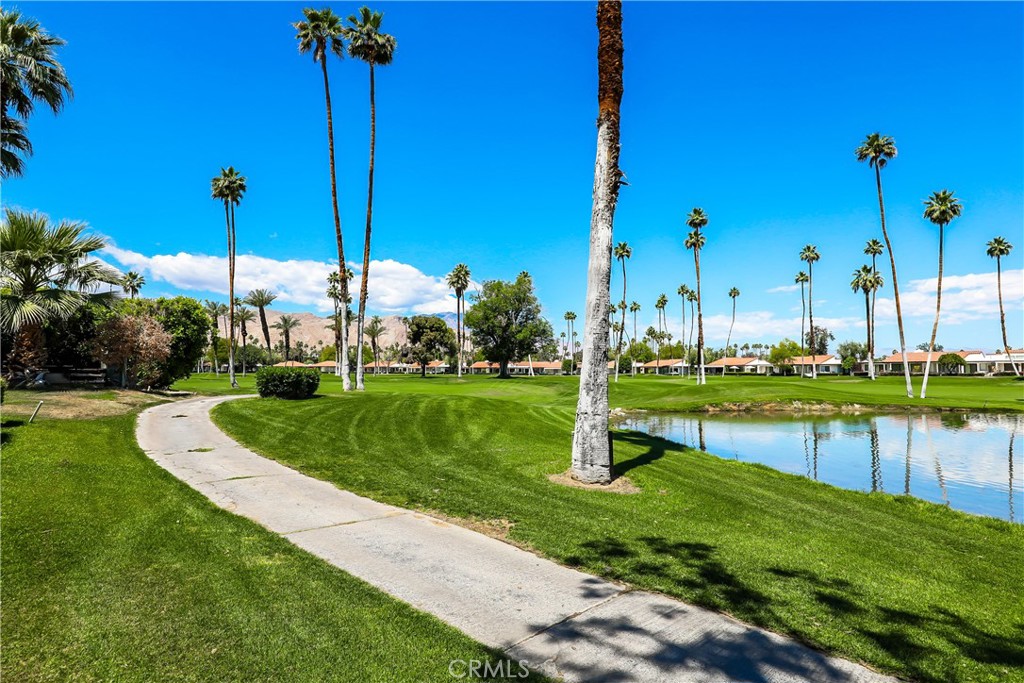 74 Avenida Las Palmas Rancho Mirage, CA 92270 - Photo 22 of 23 a view of a park with palm trees