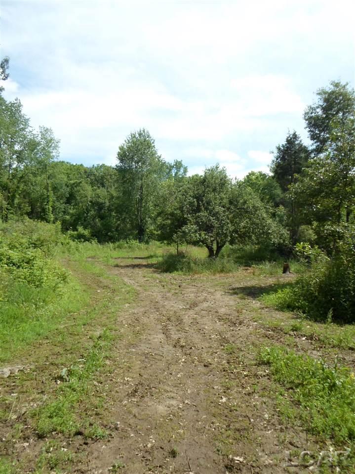 12000 Stephenson Road, Unit PARCEL A Brooklyn, MI 49230 - Photo 20 of 49