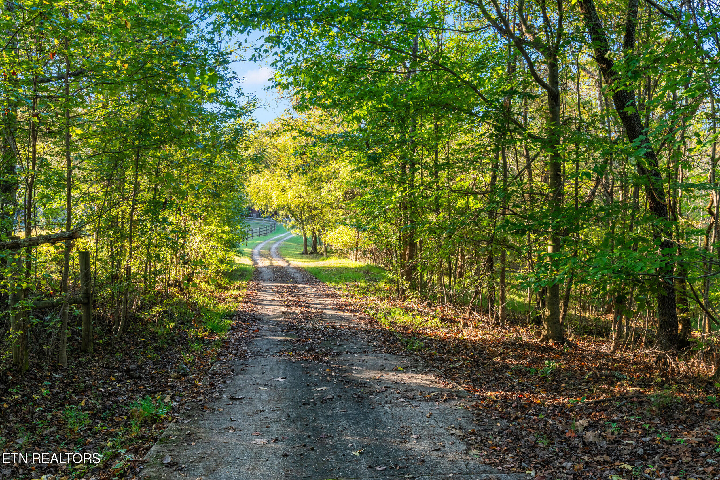 228 Pattie Gap Road Philadelphia, TN 37846 - Photo 52 of 57 228 pattie gap road-59