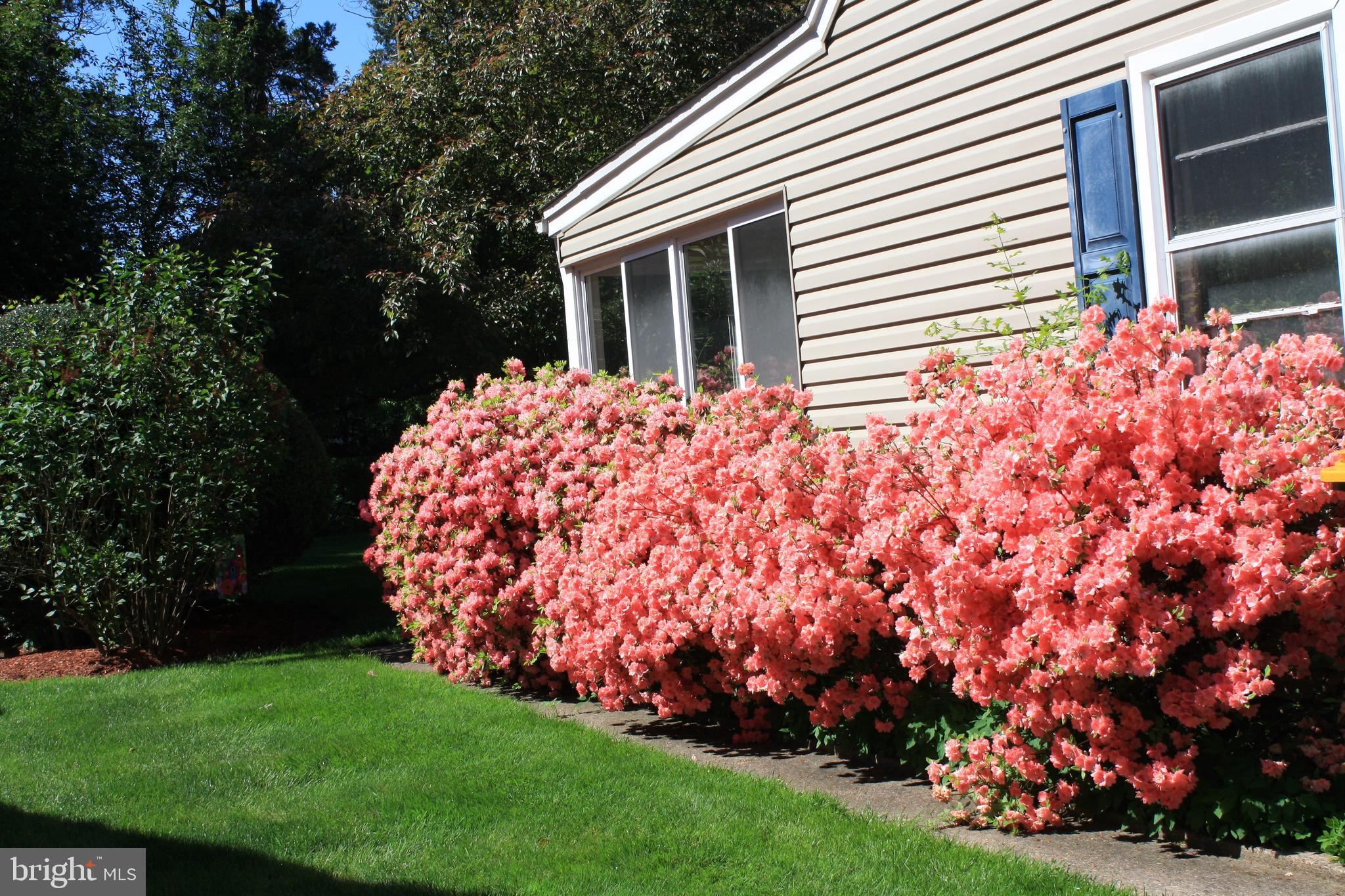 17 Edgewood Road Yardley, PA 19067 - Photo 32 of 35 Gallery Image 32