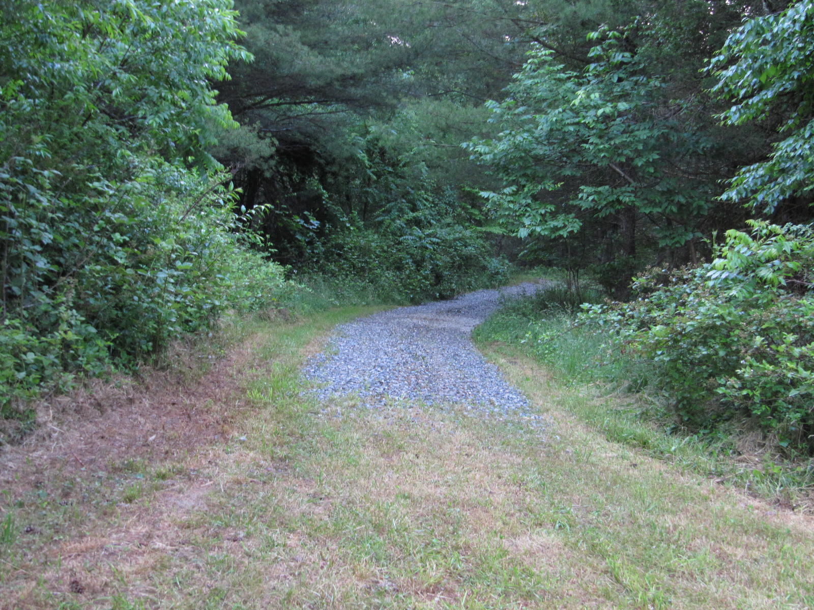0 Stonewall Road Northeast Check, VA 24072 - Photo 3 of 9 IMG_0311