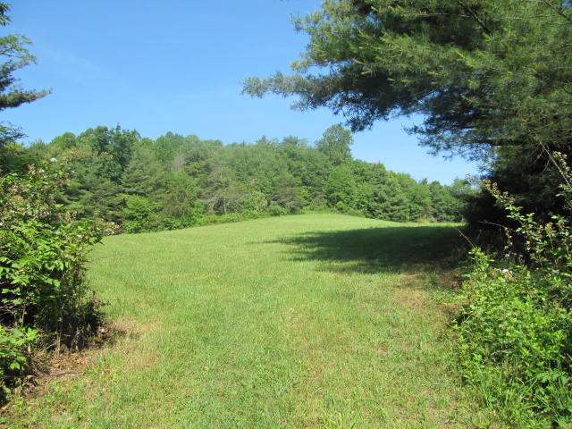 0 Stonewall Road Northeast Check, VA 24072 - Photo 5 of 9 IMG_7926