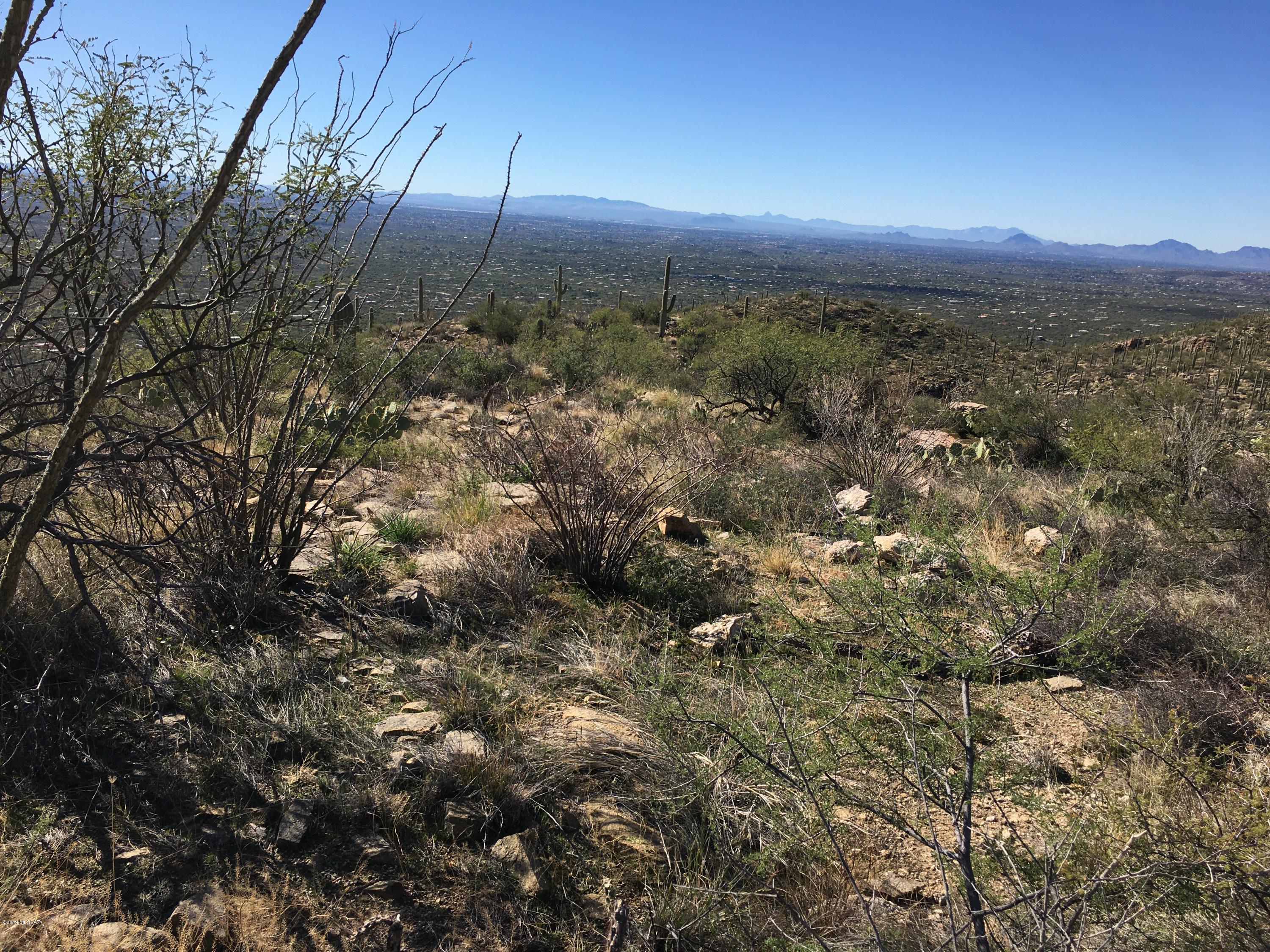 5483 North Wentworth Road Tucson, AZ 85749 - Photo 13 of 14