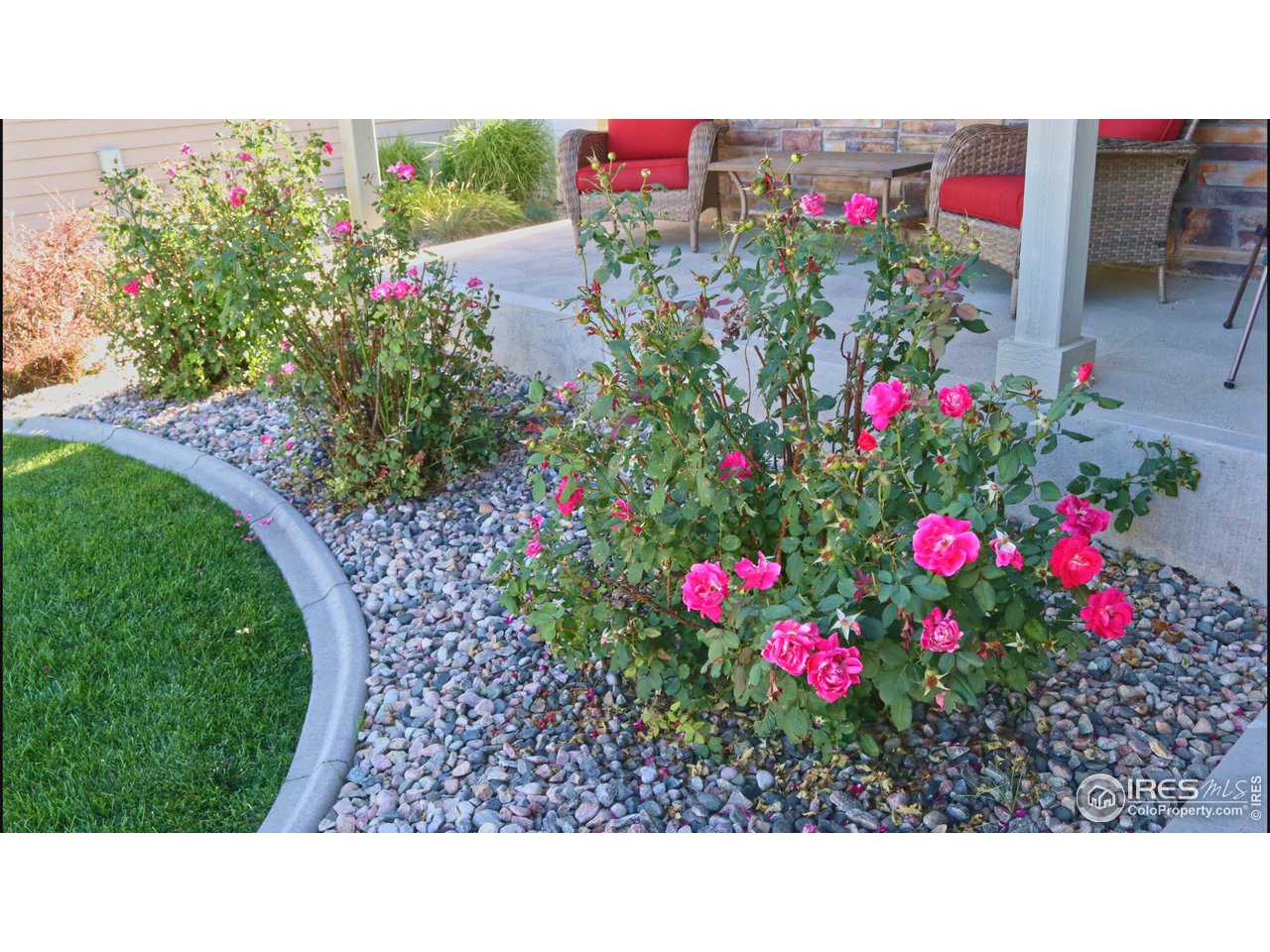 6875 McClellan Road Wellington, CO 80549 - Photo 4 of 33 Gallery Image 4