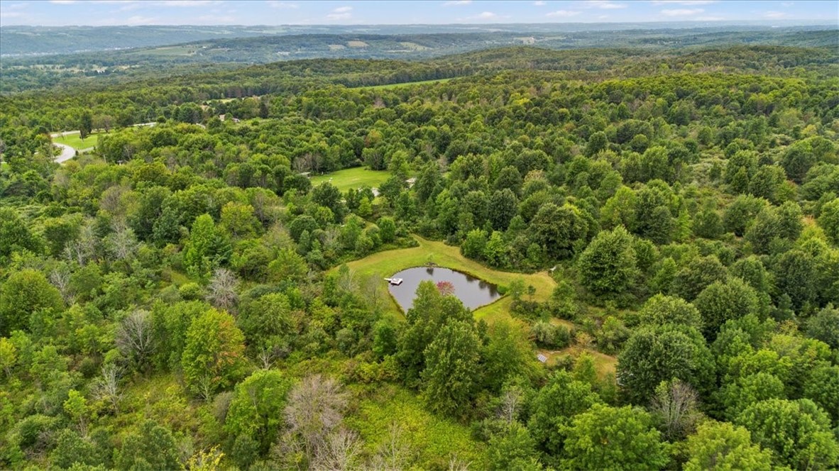 6709 Dugway Road Conesus, NY 14435 - Photo 22 of 49