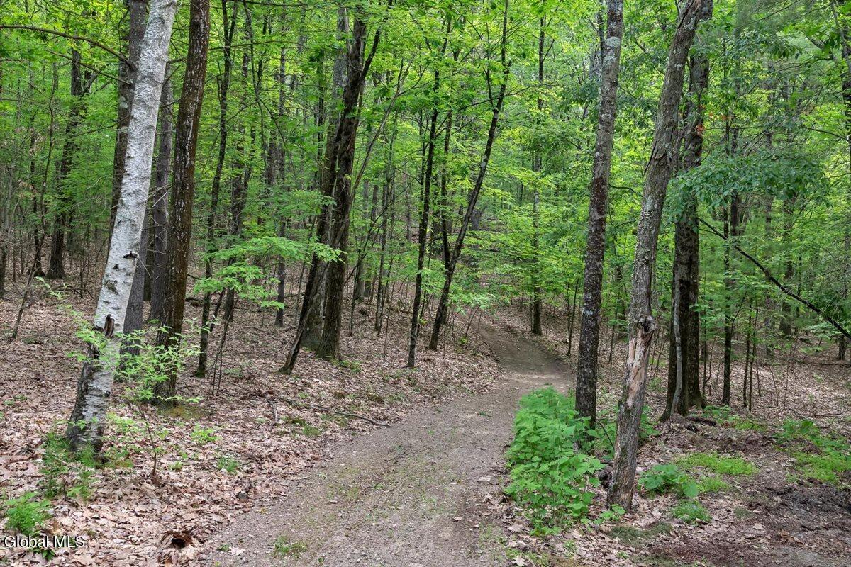 88 Garner Road Sand Lake, NY 12018 - Photo 58 of 74 66-88 Garner Rd-51