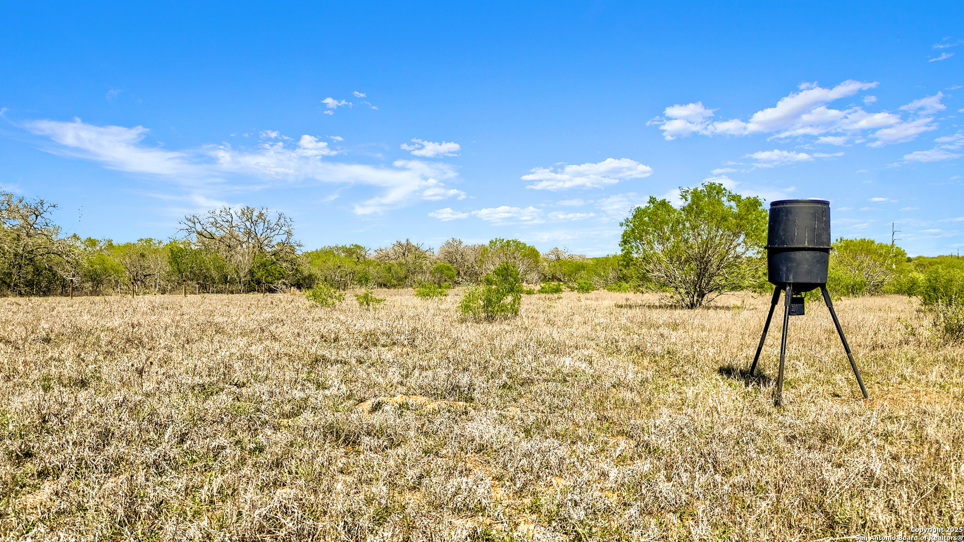 0 Fox Trotter Road Seguin, TX 78155 - Photo 2 of 12 a view of a yard with a lake view