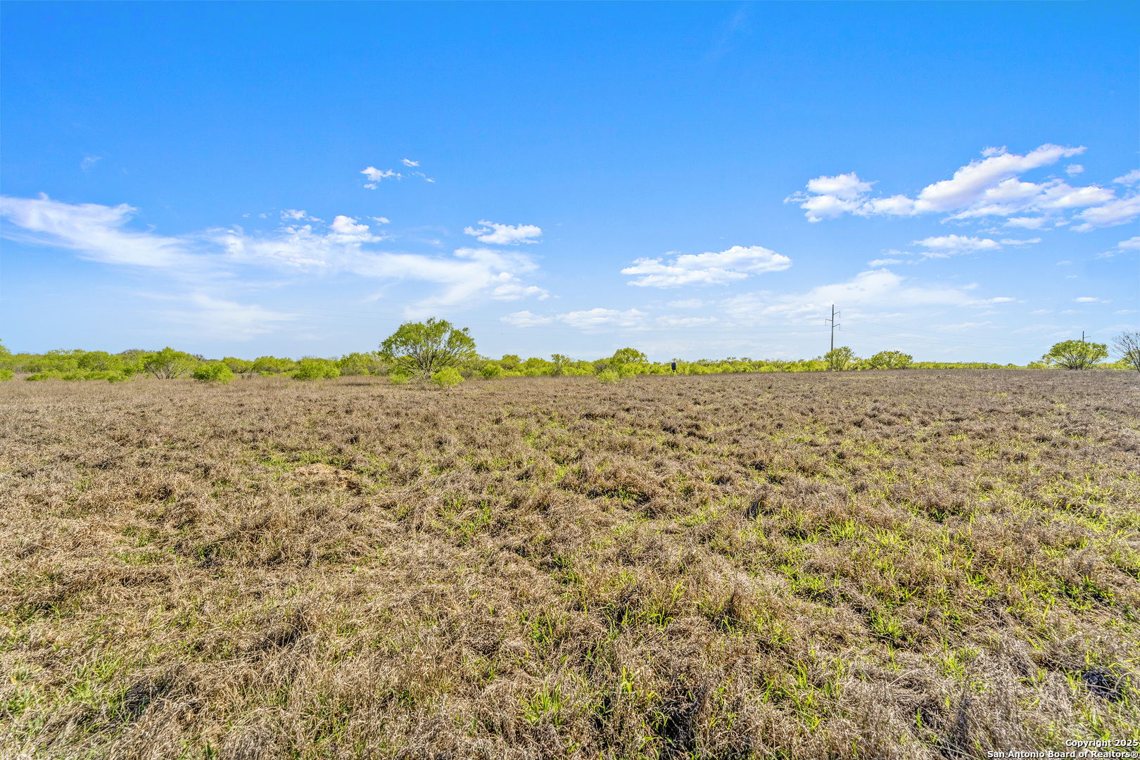 0 Fox Trotter Road Seguin, TX 78155 - Photo 5 of 12 a view of a sky