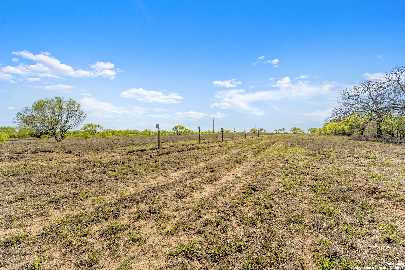0 Fox Trotter Road Seguin, TX 78155 - Photo 6 of 12