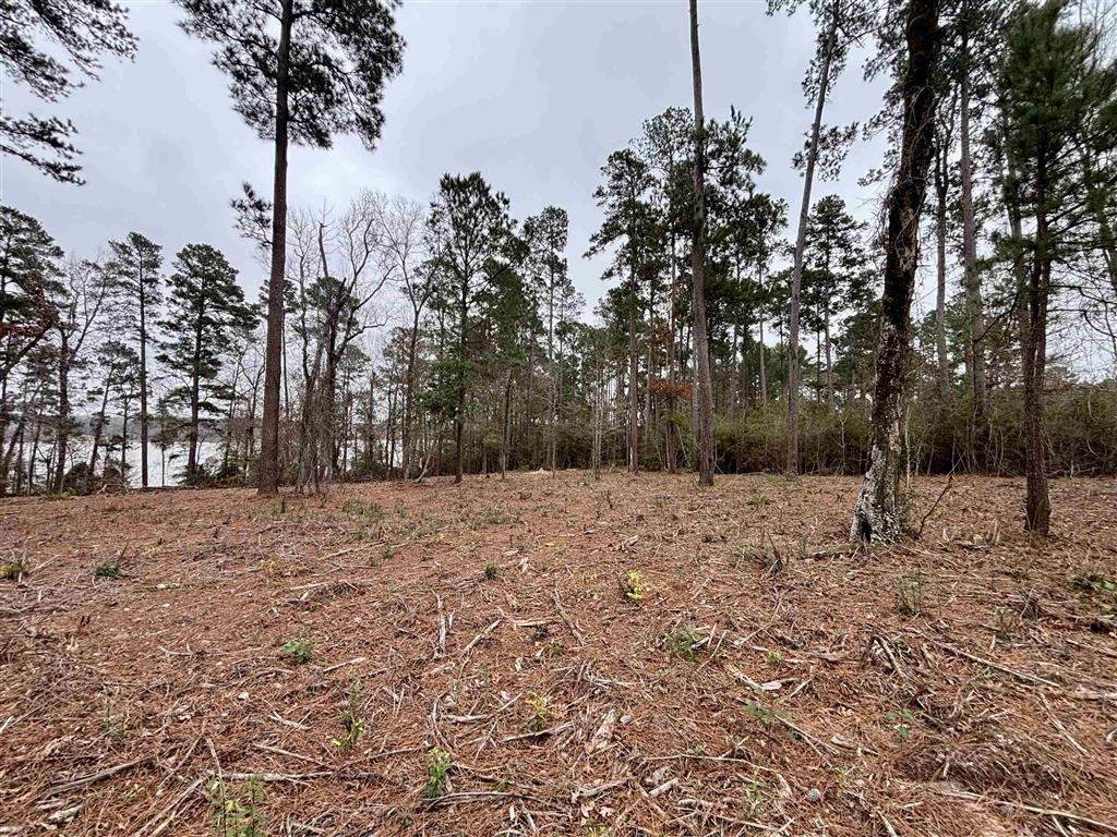 Lazy Point Trail Many, LA 71449 - Photo 18 of 20