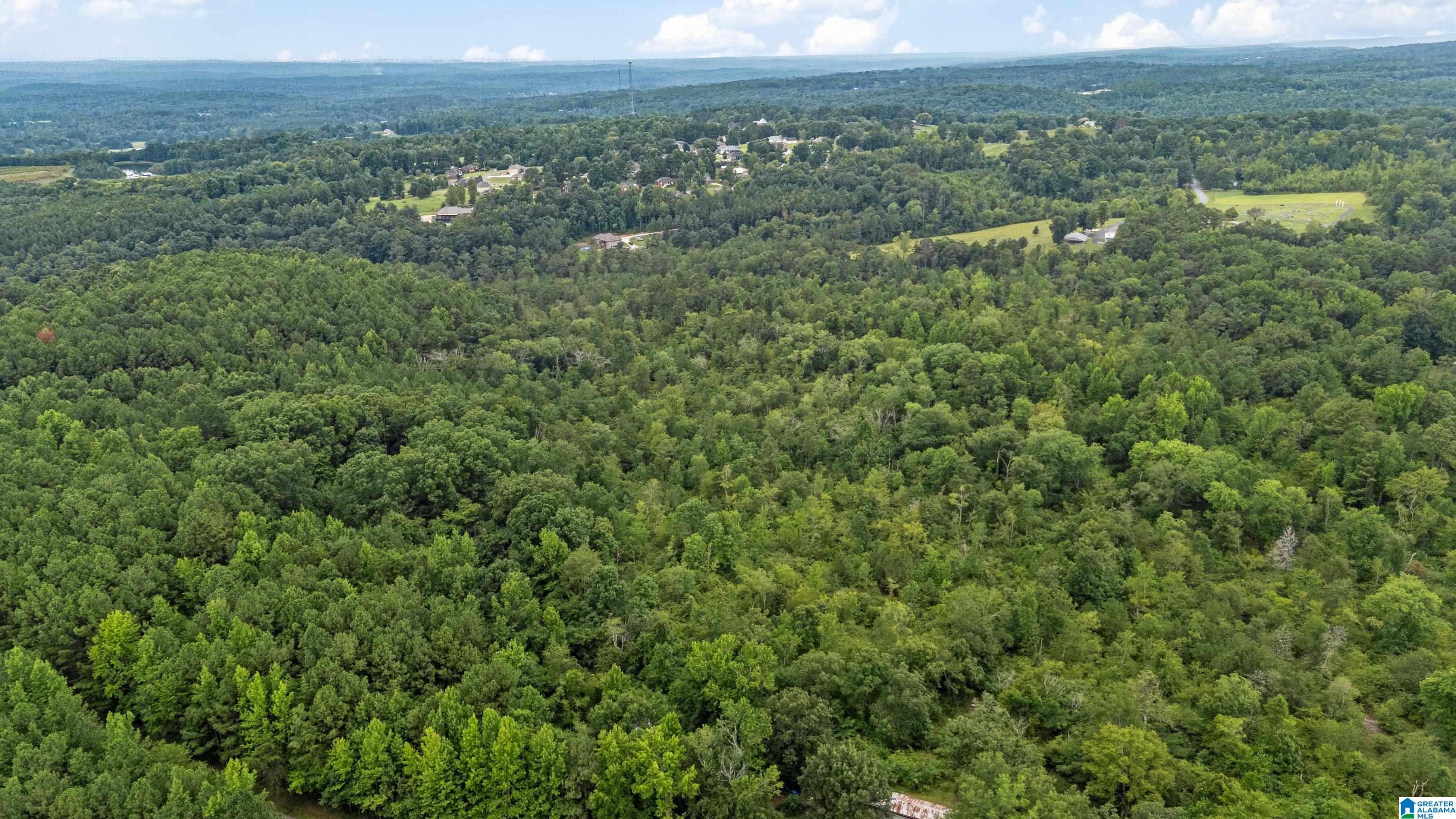 700 High Rock Road Hayden, AL 35079 - Photo 70 of 76