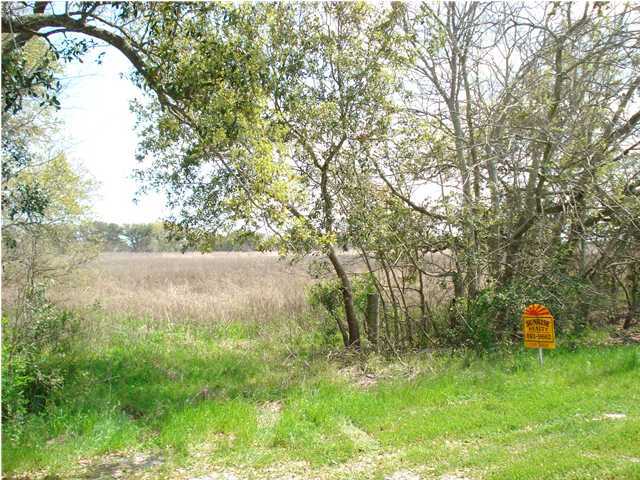 0 South Saltzman Road Gueydan, LA 70542 - Photo 1 of 8 Primary Photo
