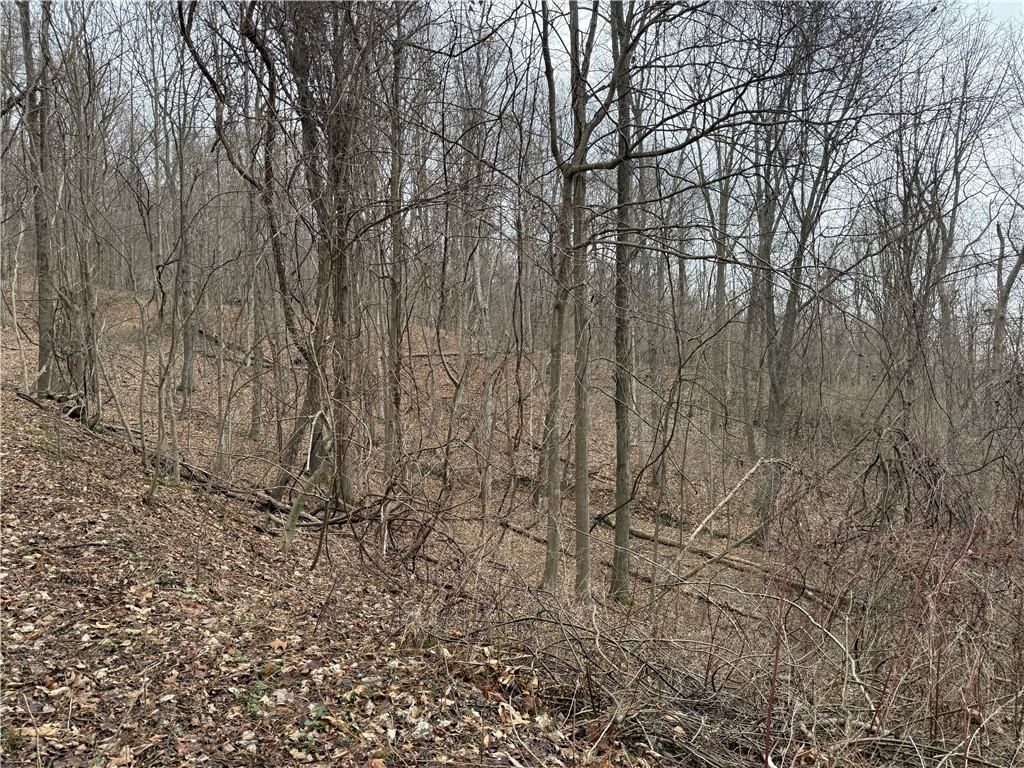 1592 Emerson Road Potter, NY 14507 - Photo 14 of 25