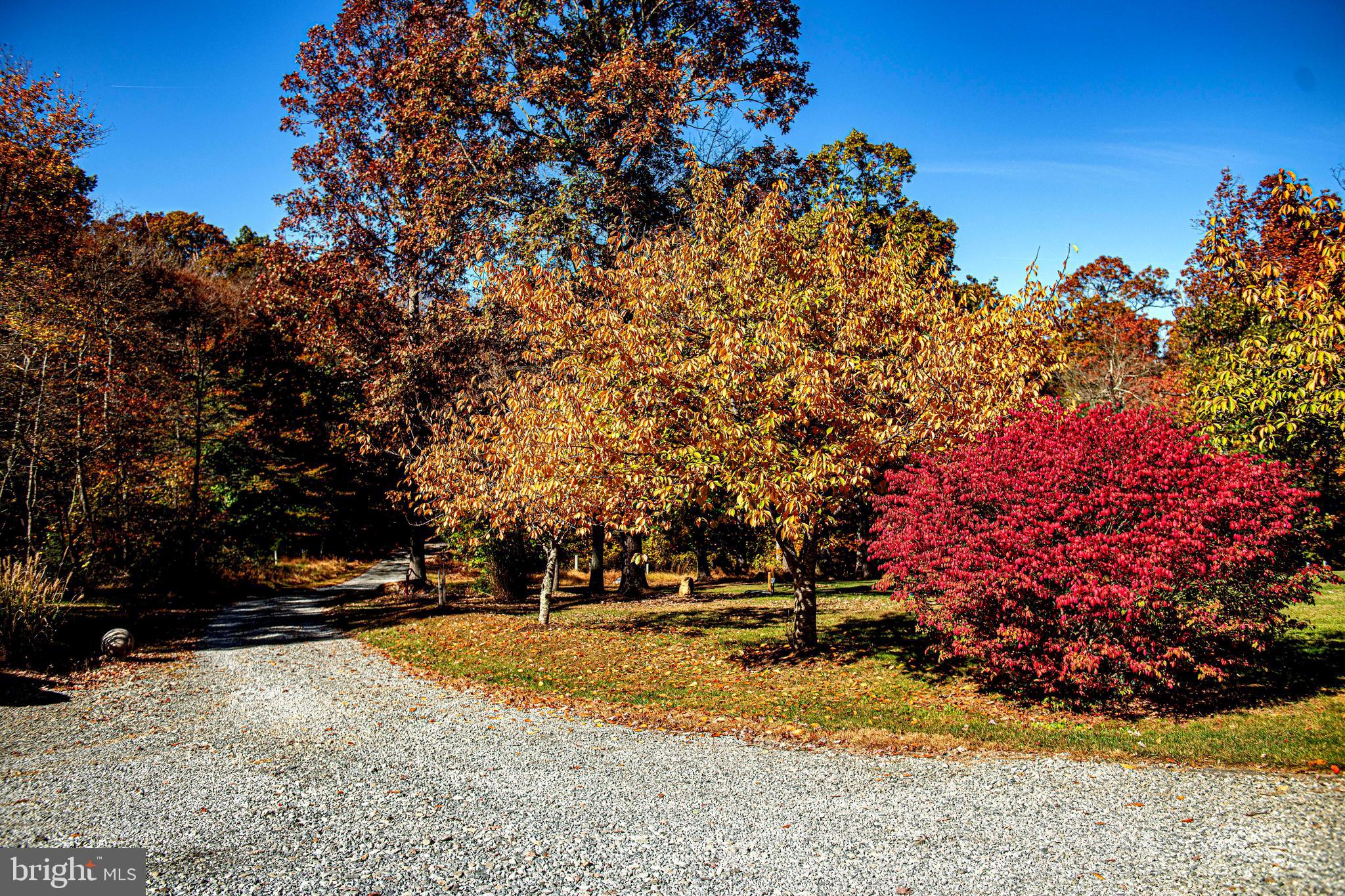 4233 Paddrick Road Darlington, MD 21034 - Photo 20 of 94 Gallery Image 20