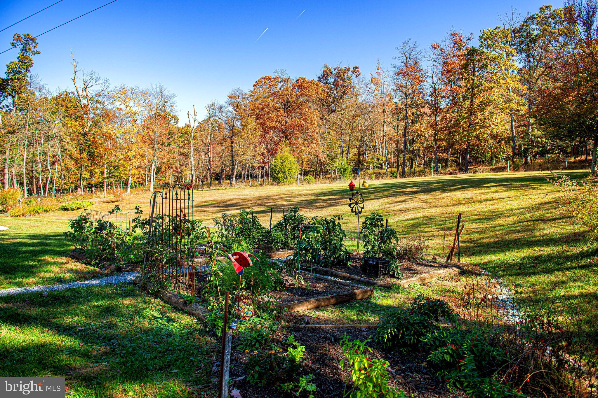 4233 Paddrick Road Darlington, MD 21034 - Photo 34 of 94 Gallery Image 34
