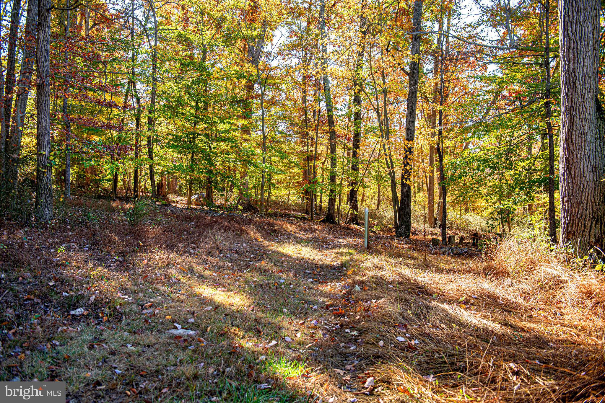 4233 Paddrick Road Darlington, MD 21034 - Photo 77 of 94 Gallery Image 77