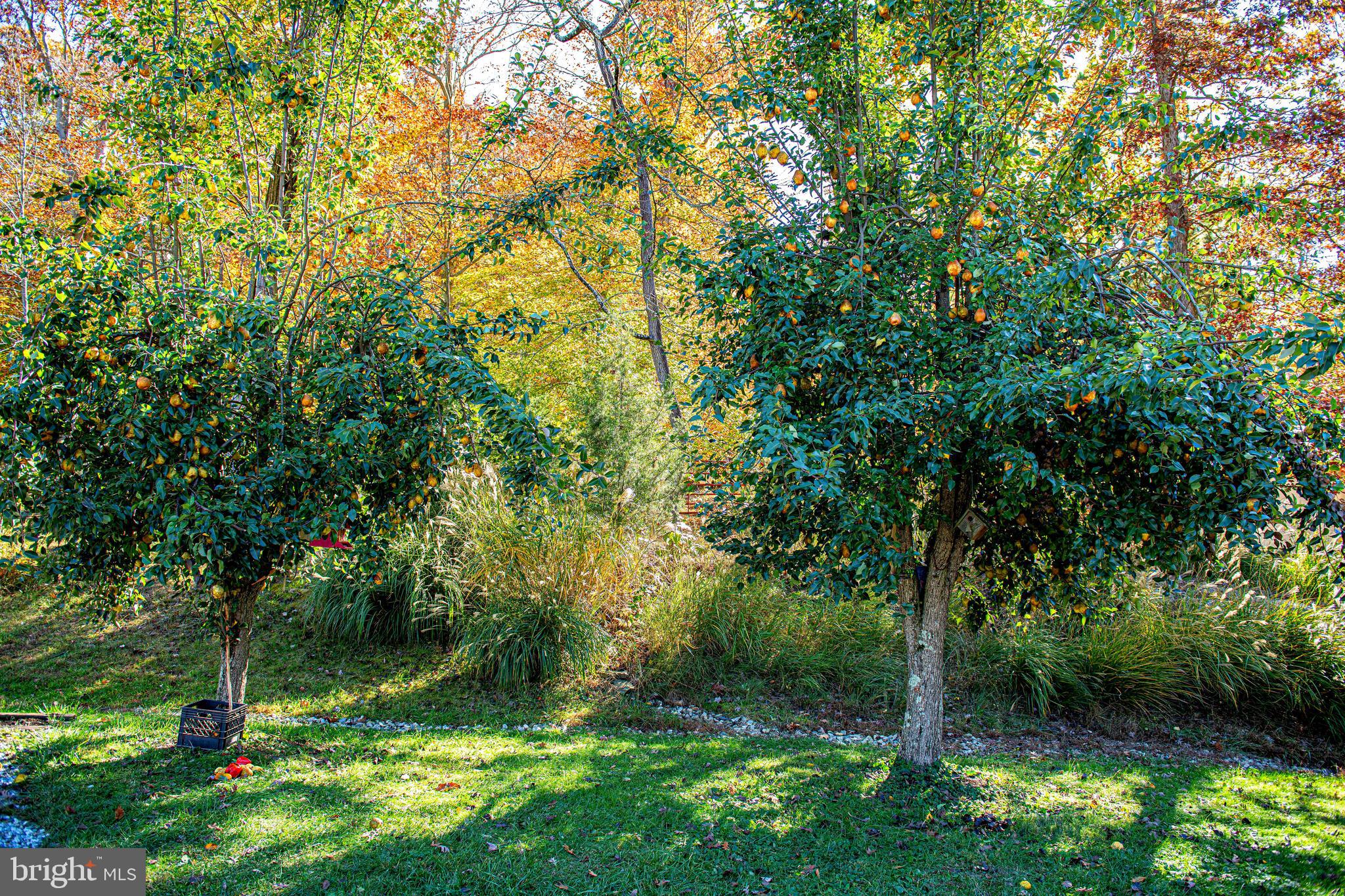 4233 Paddrick Road Darlington, MD 21034 - Photo 78 of 94 Gallery Image 78