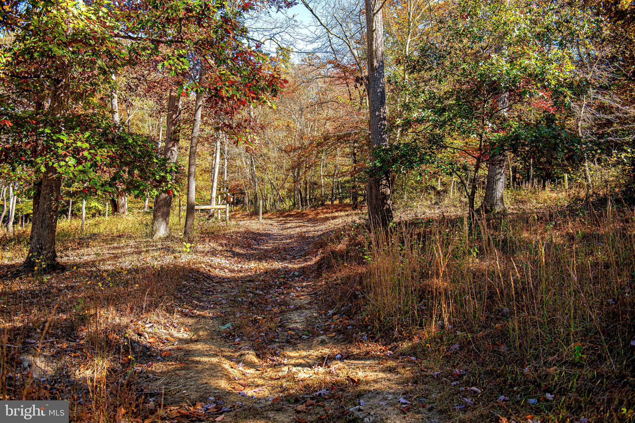 4233 Paddrick Road Darlington, MD 21034 - Photo 79 of 94 Gallery Image 79